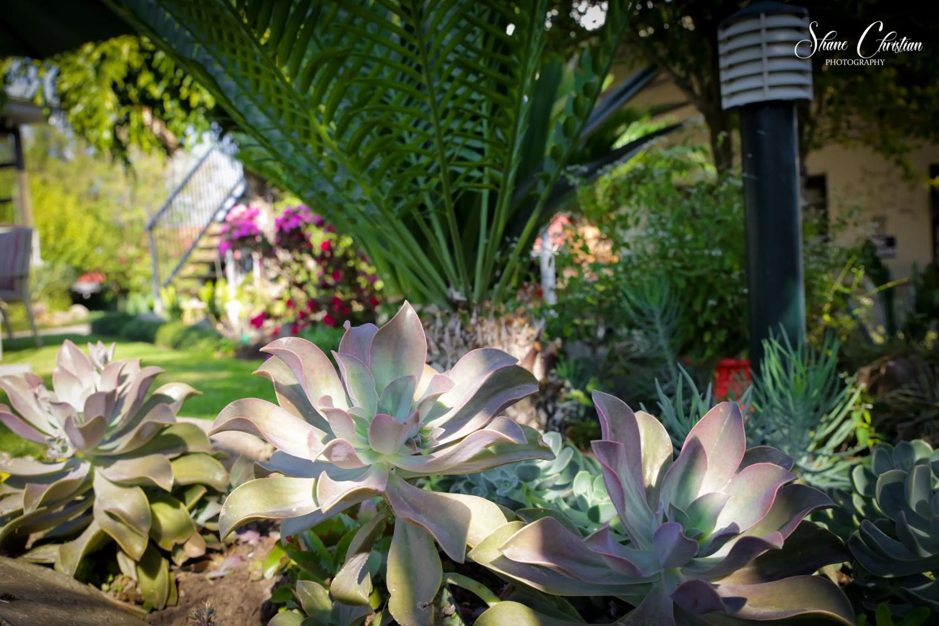 Twins Guesthouse NO LOAD SHEDDING