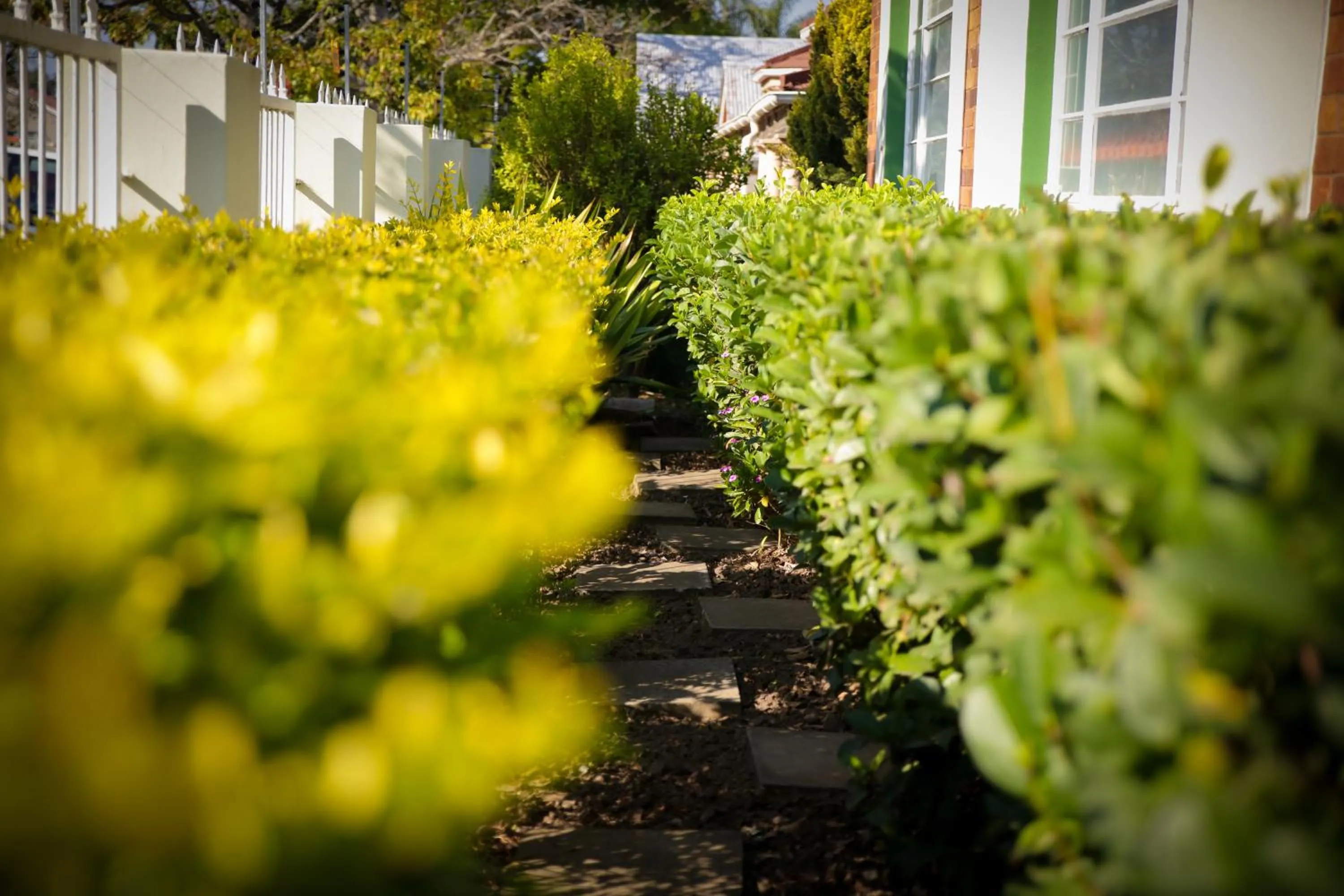 Garden view in Twins Guesthouse NO LOAD SHEDDING