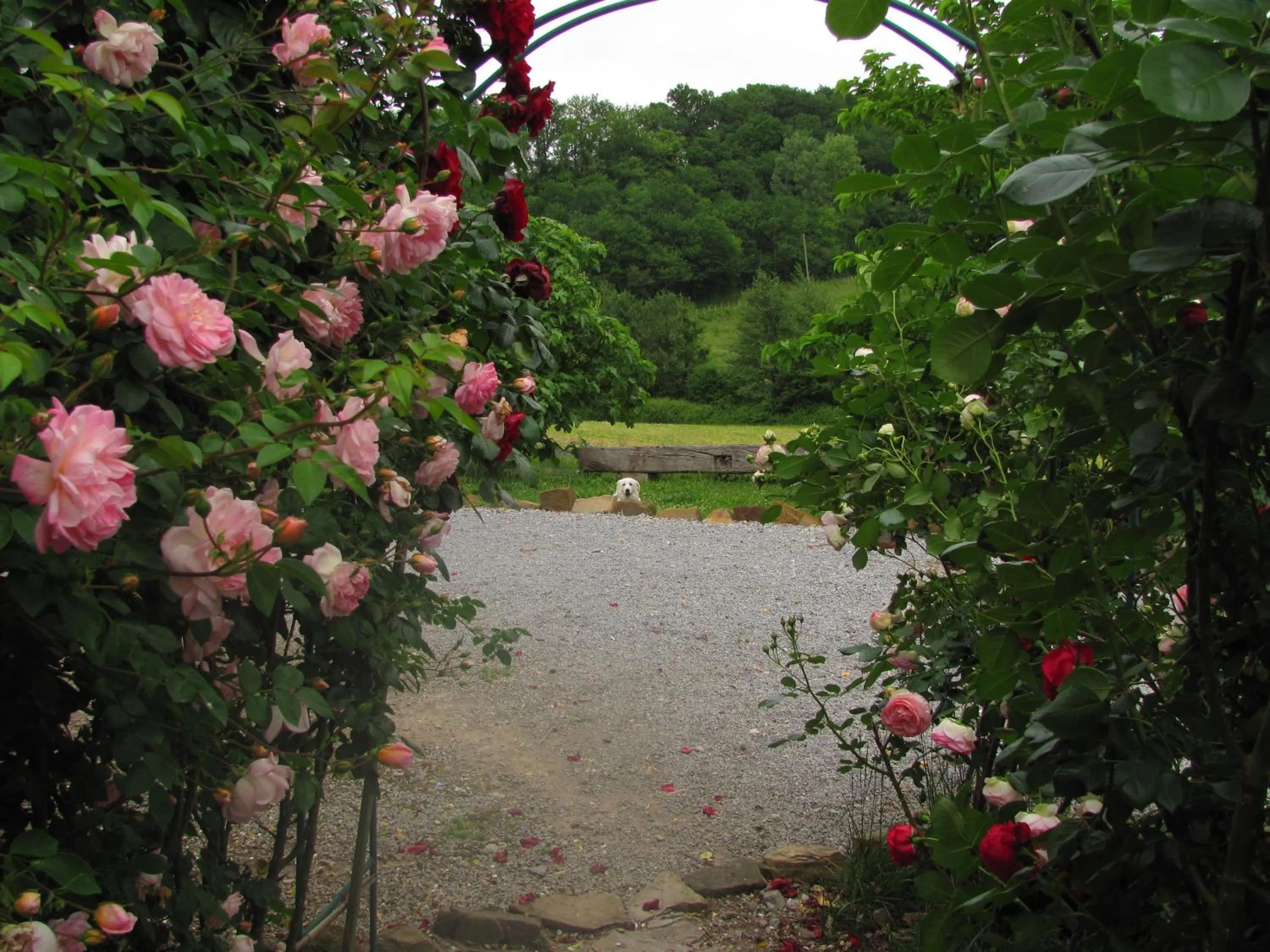 Garden view in Chambres d'Hôtes Gelous