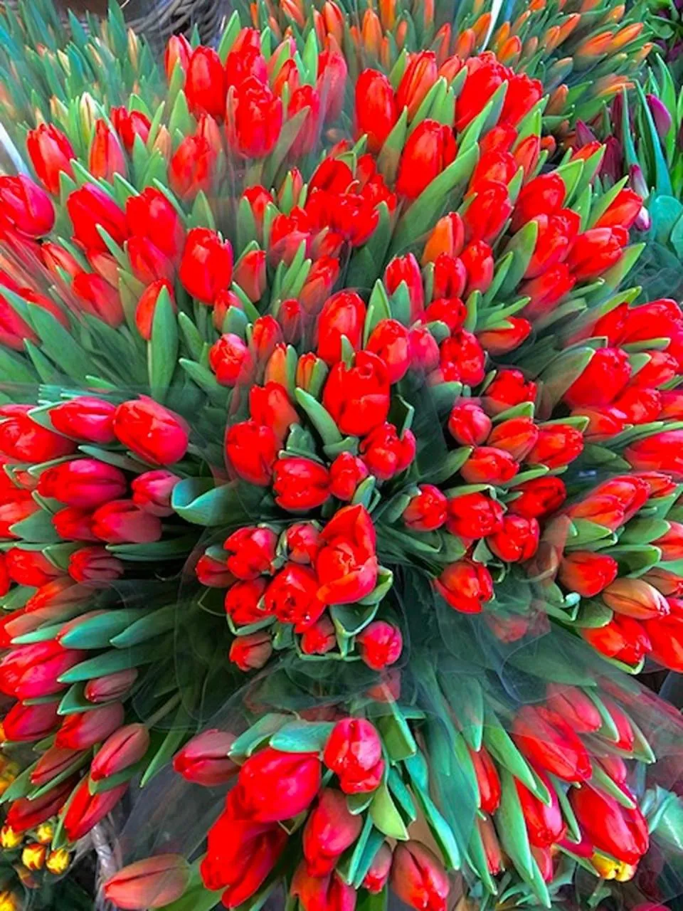 Property building in Bed & Breakfast Jo Amsterdam