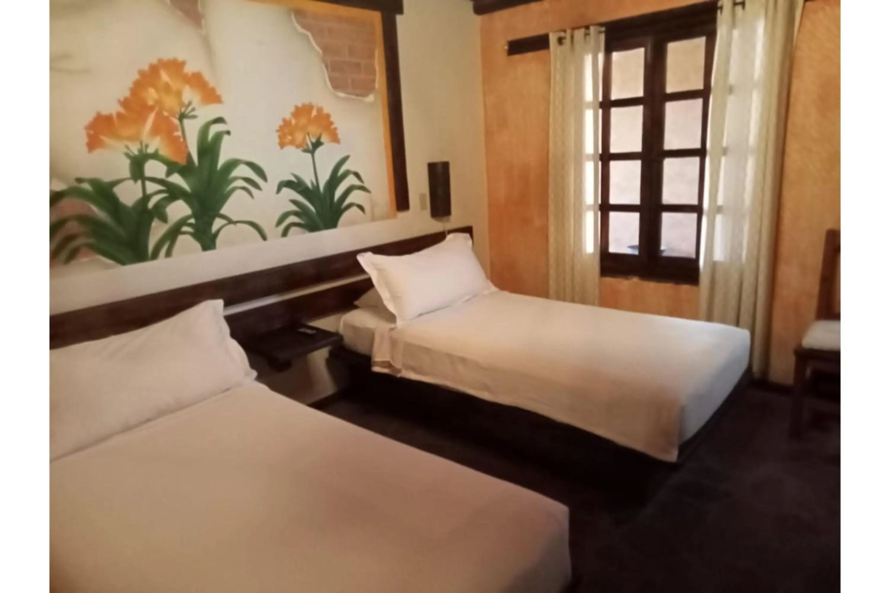 Bedroom in Hotel Boutique Posada De Las Flores Loreto