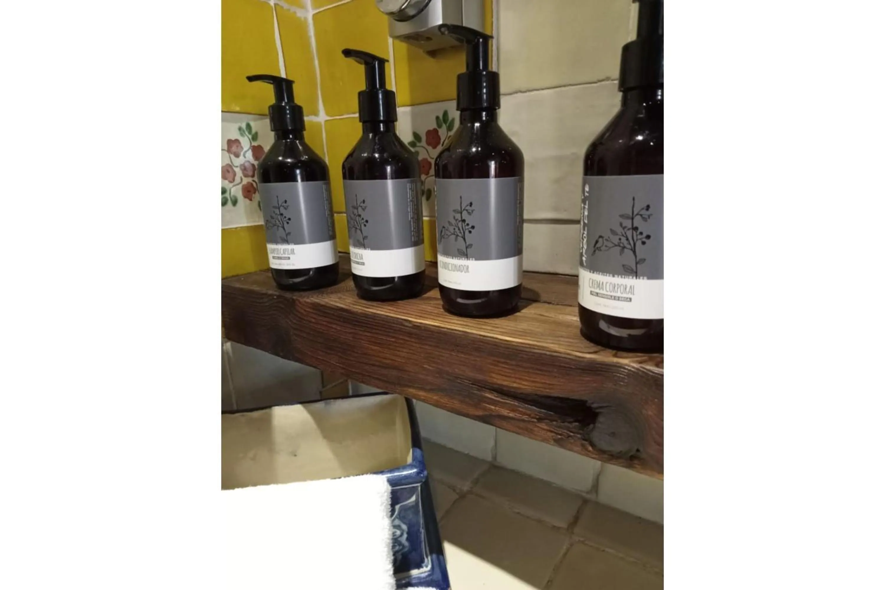 Area and facilities in Hotel Boutique Posada De Las Flores Loreto