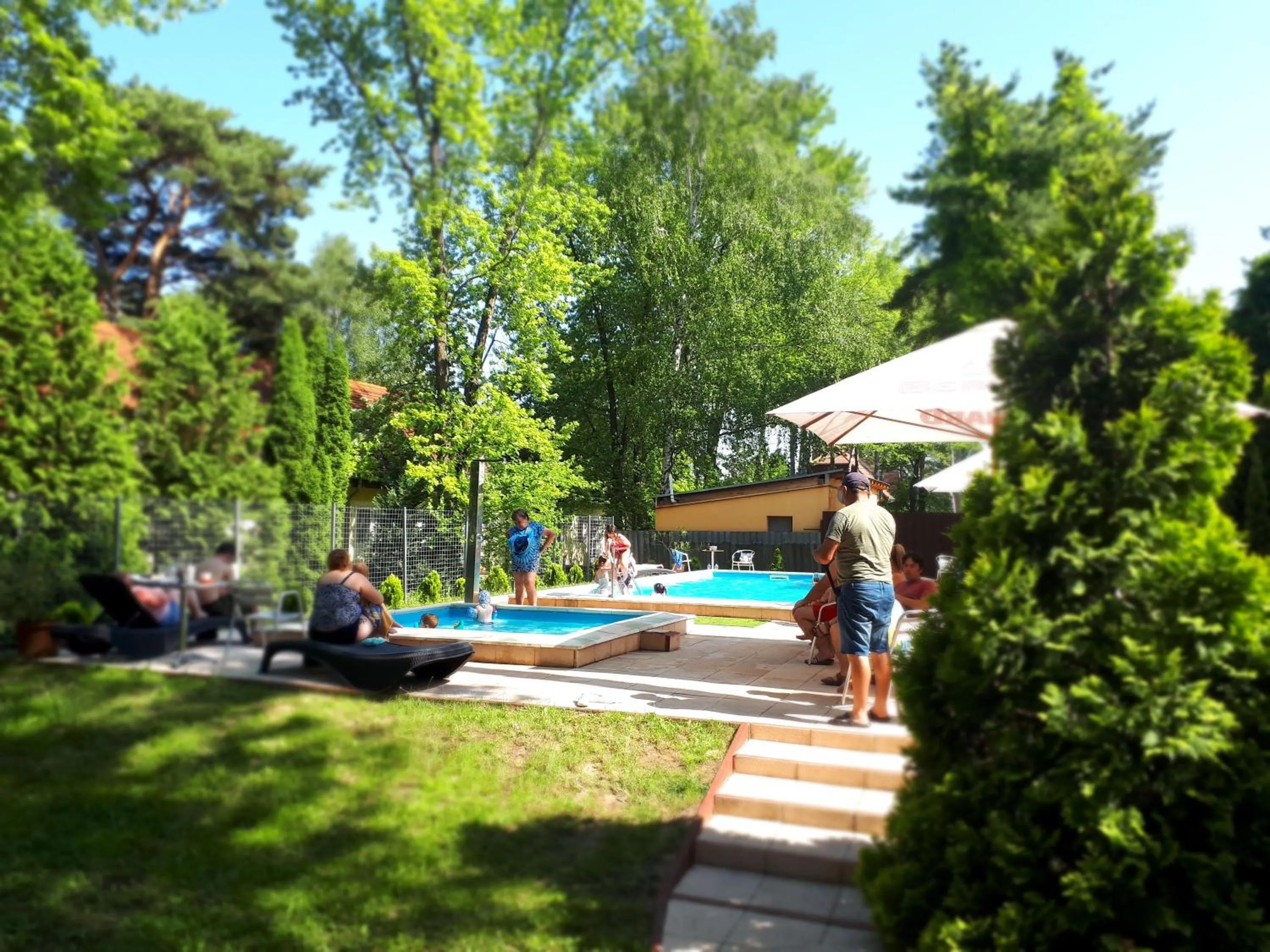 Garden in Hotel Korona