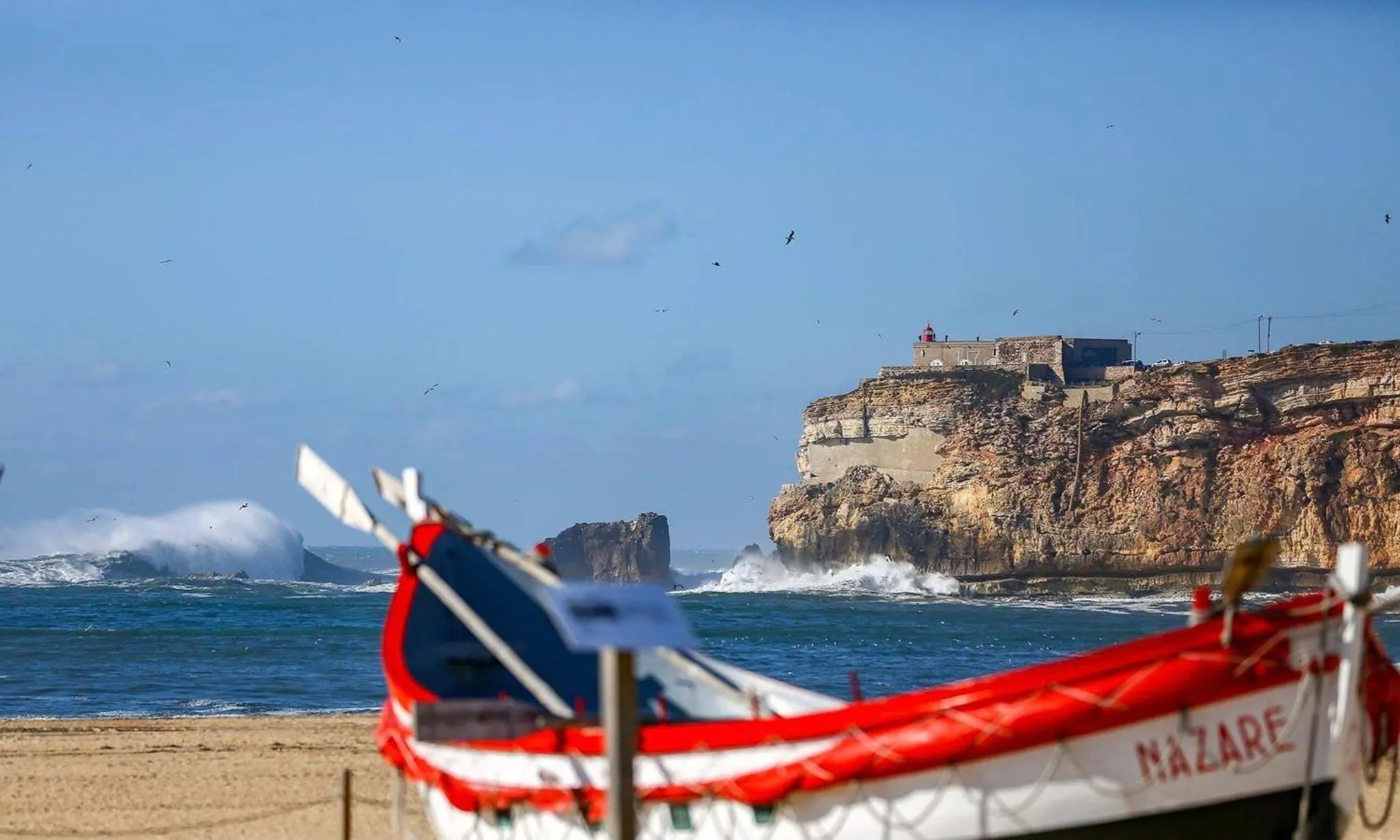 Natural landscape in Hotel Mare