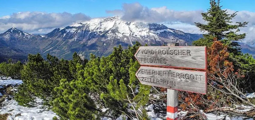 Natural landscape in Gasthof Erlauftalerhof