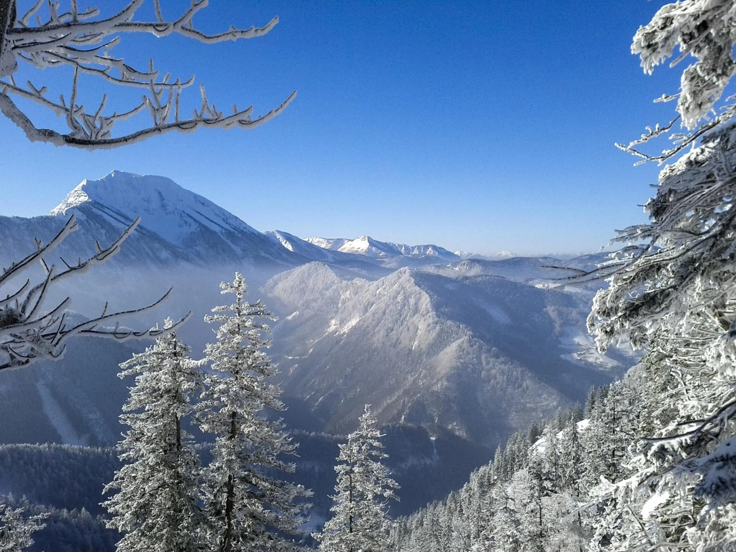 Natural landscape in Gasthof Erlauftalerhof