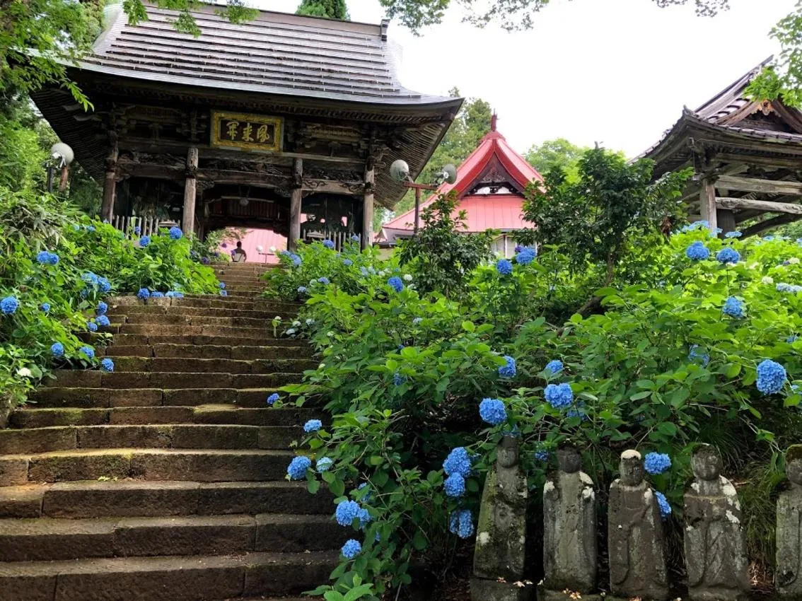 Nearby landmark in Guest House Hostel yukuru