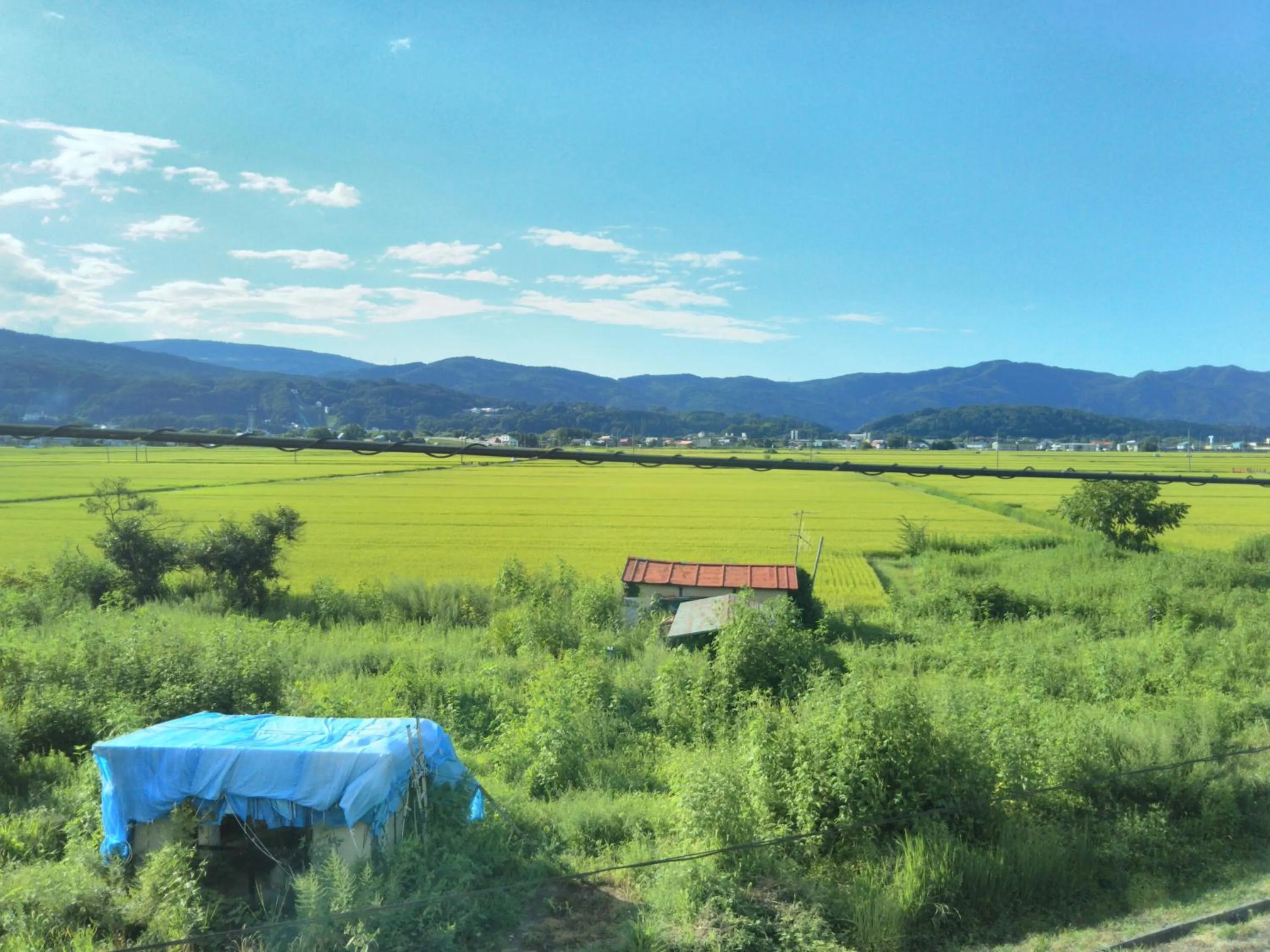 Natural landscape in Guest House Hostel yukuru