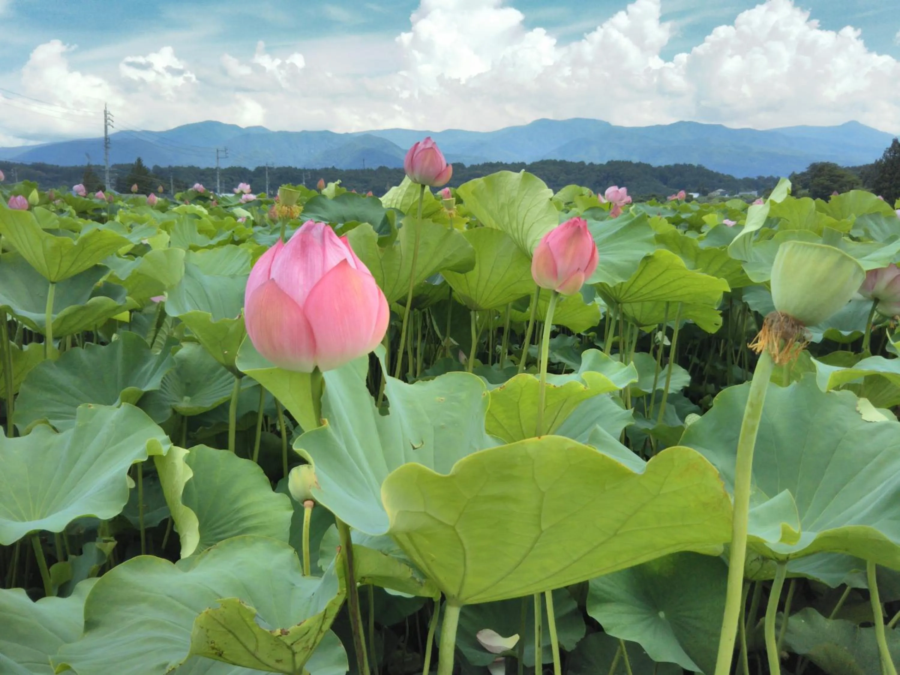 Off site in Guest House Hostel yukuru