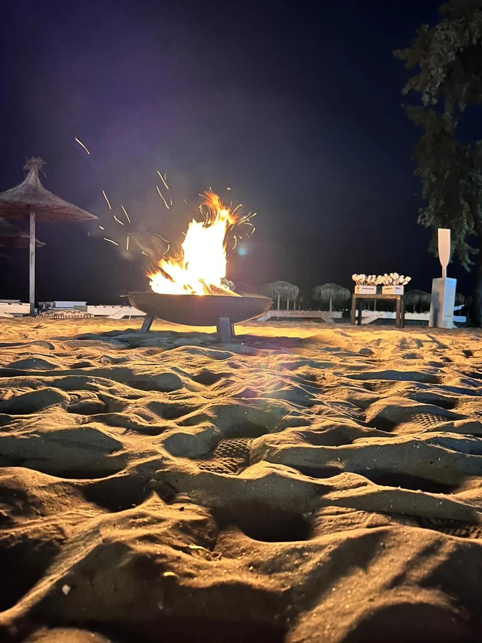 Night in Hotel Manor