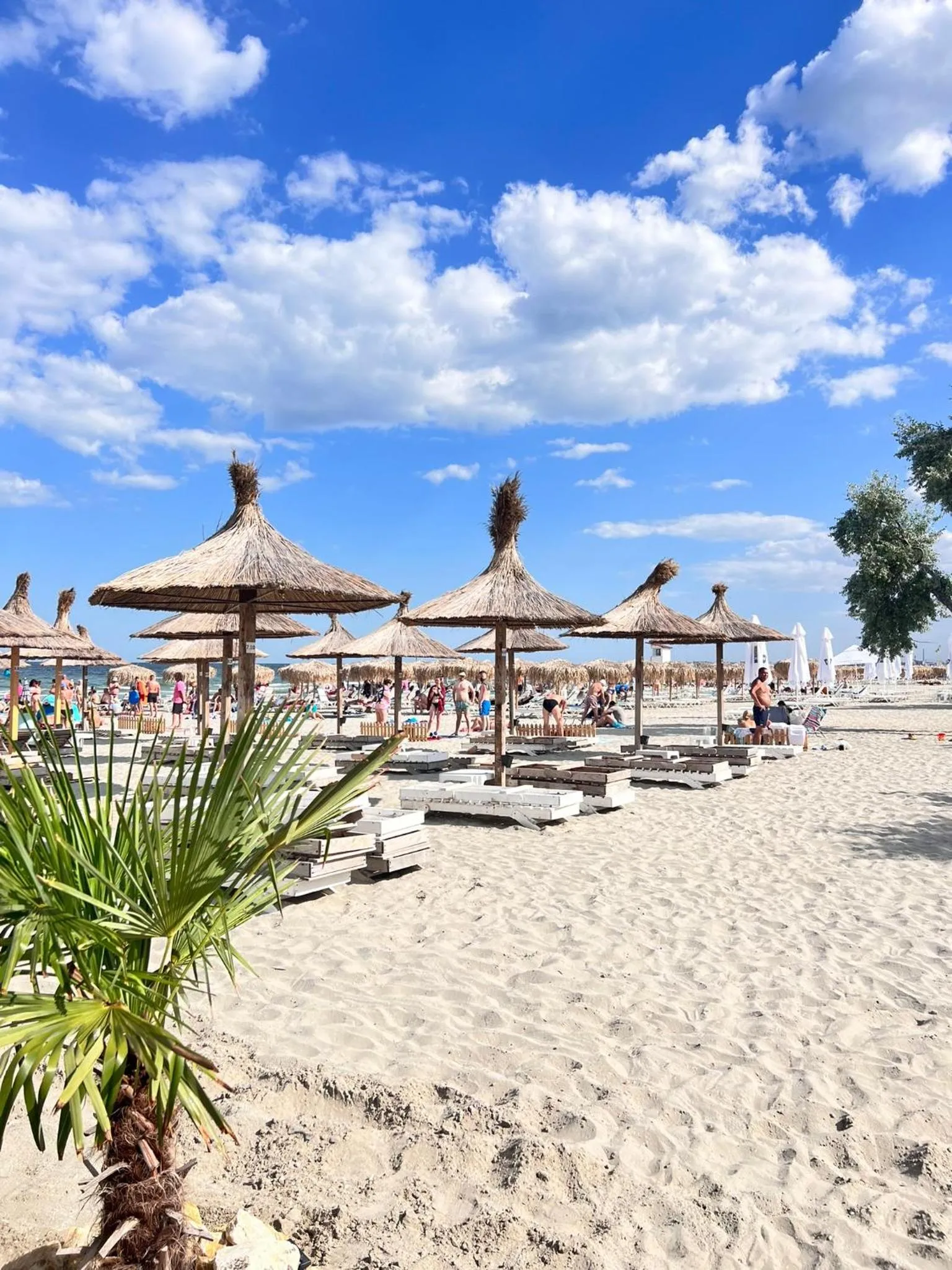 Beach in Hotel Manor