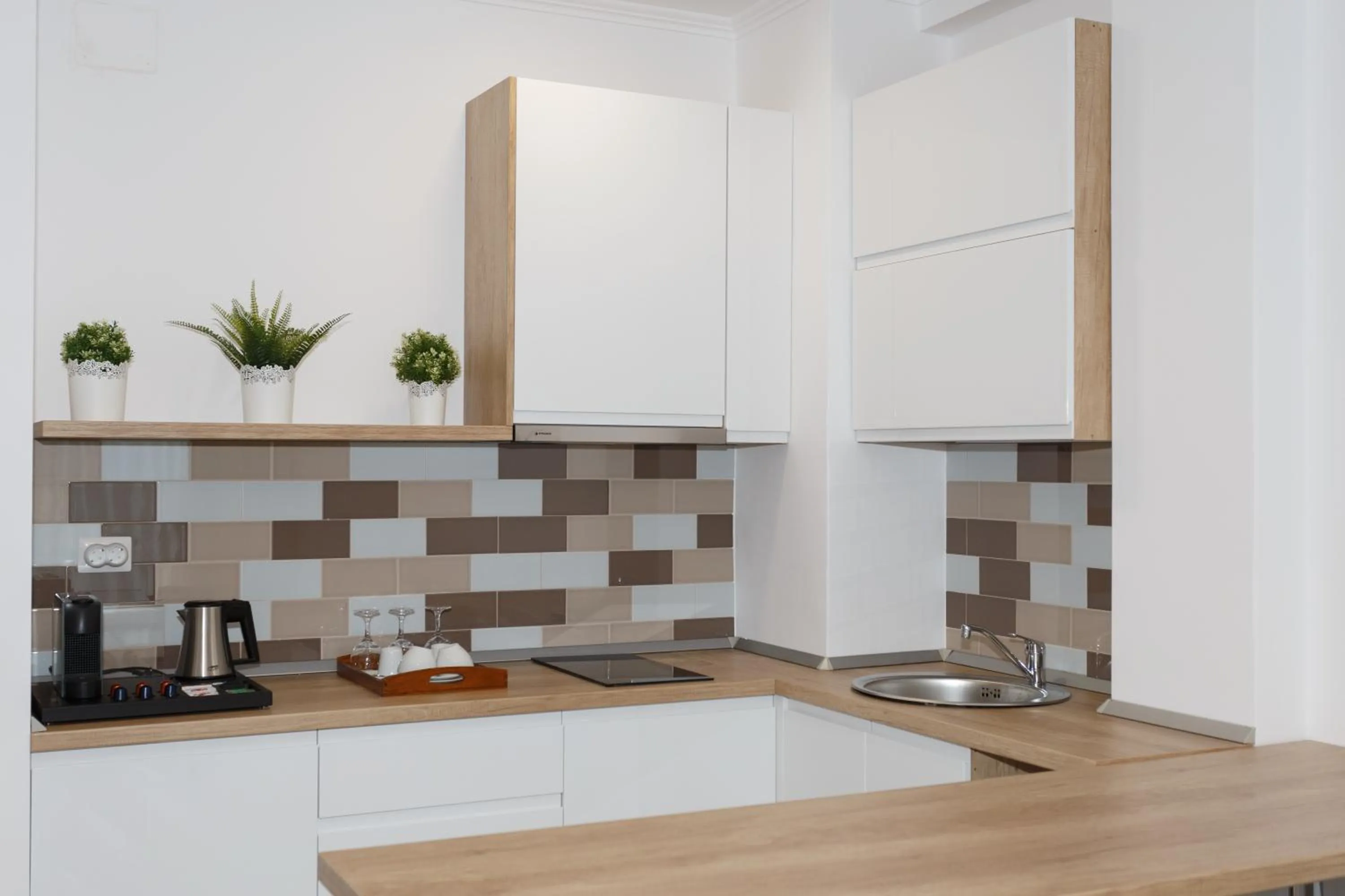 Kitchen or kitchenette in Hotel Manor