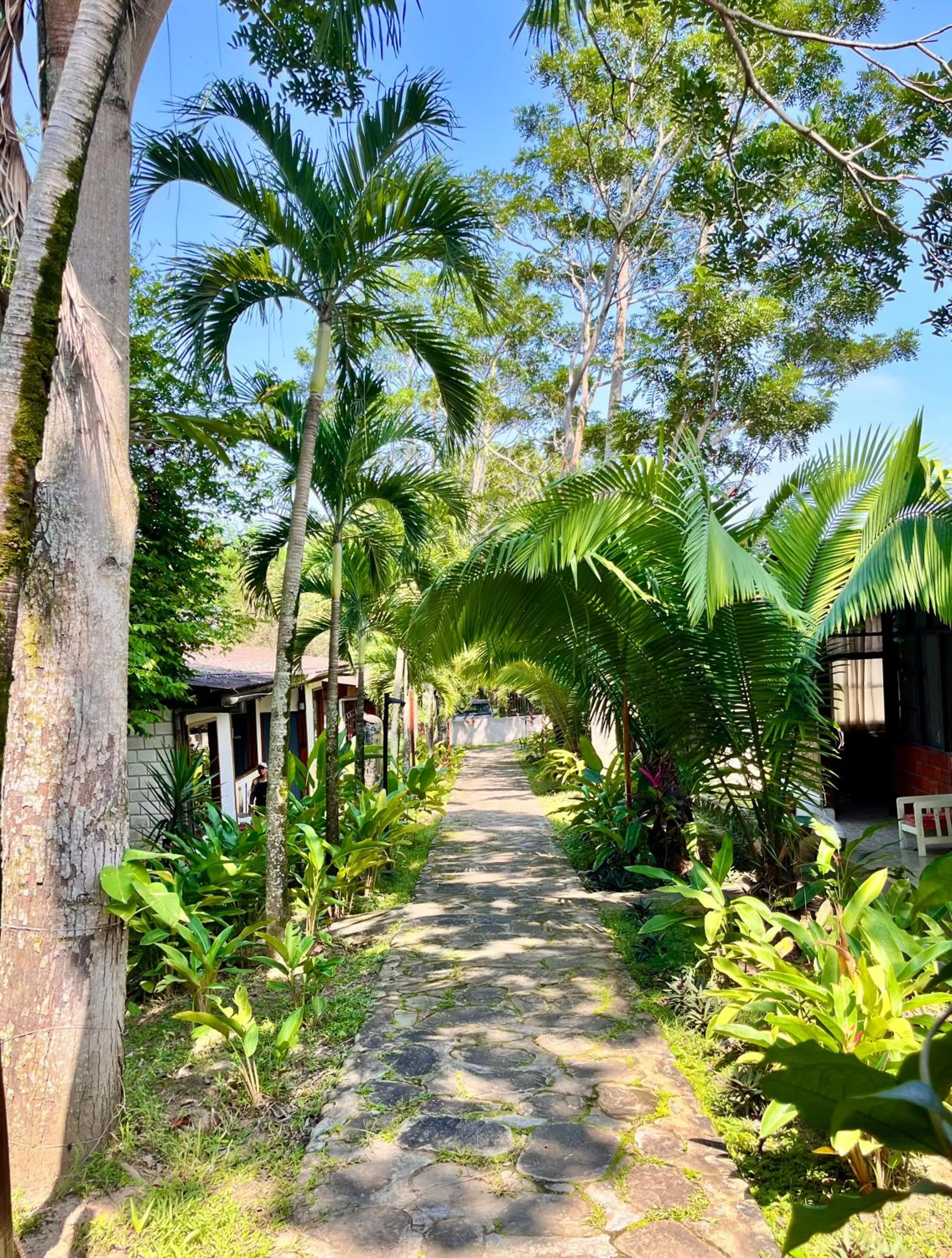 Garden in CasaBosque