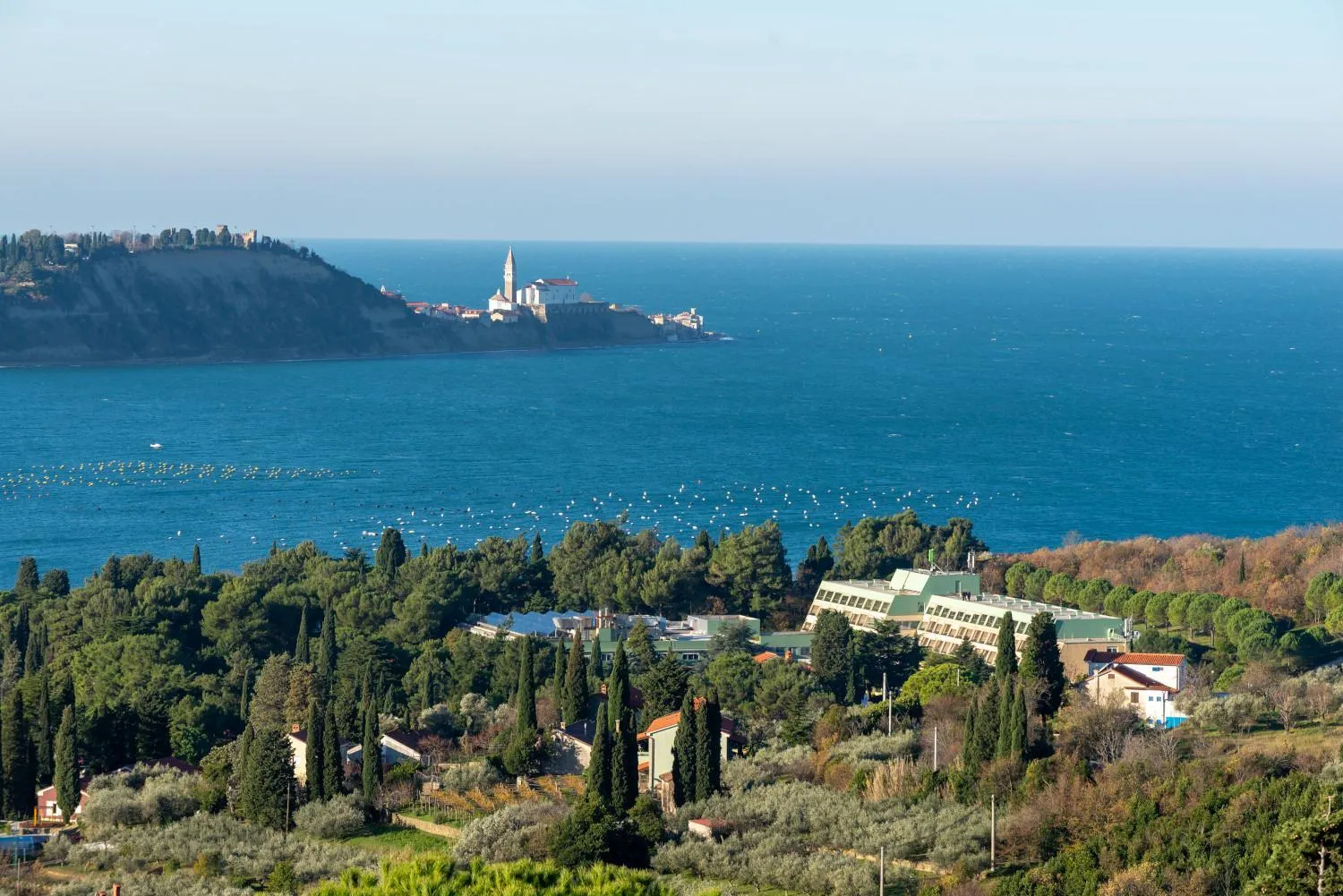 Natural landscape in Hotel Svoboda - Terme Krka