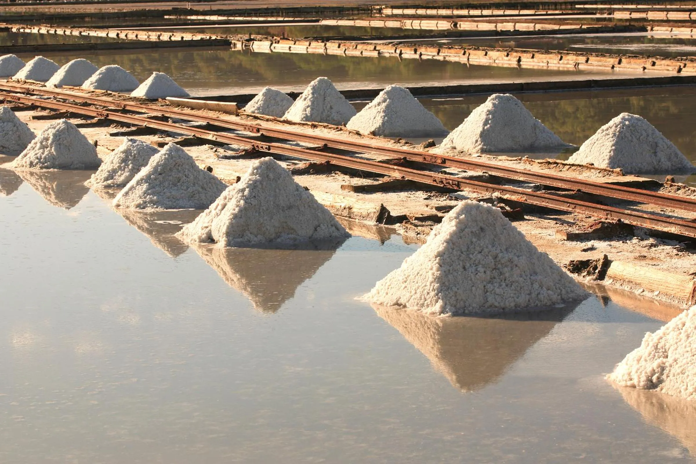 Area and facilities in Hotel Svoboda - Terme Krka