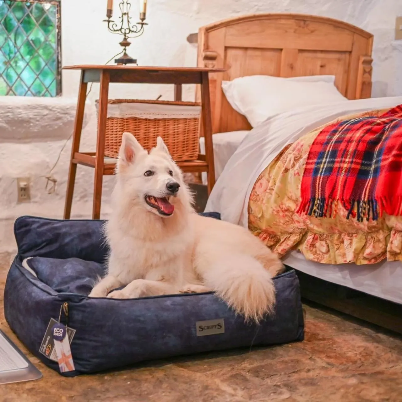 Bed in Dreamton Village