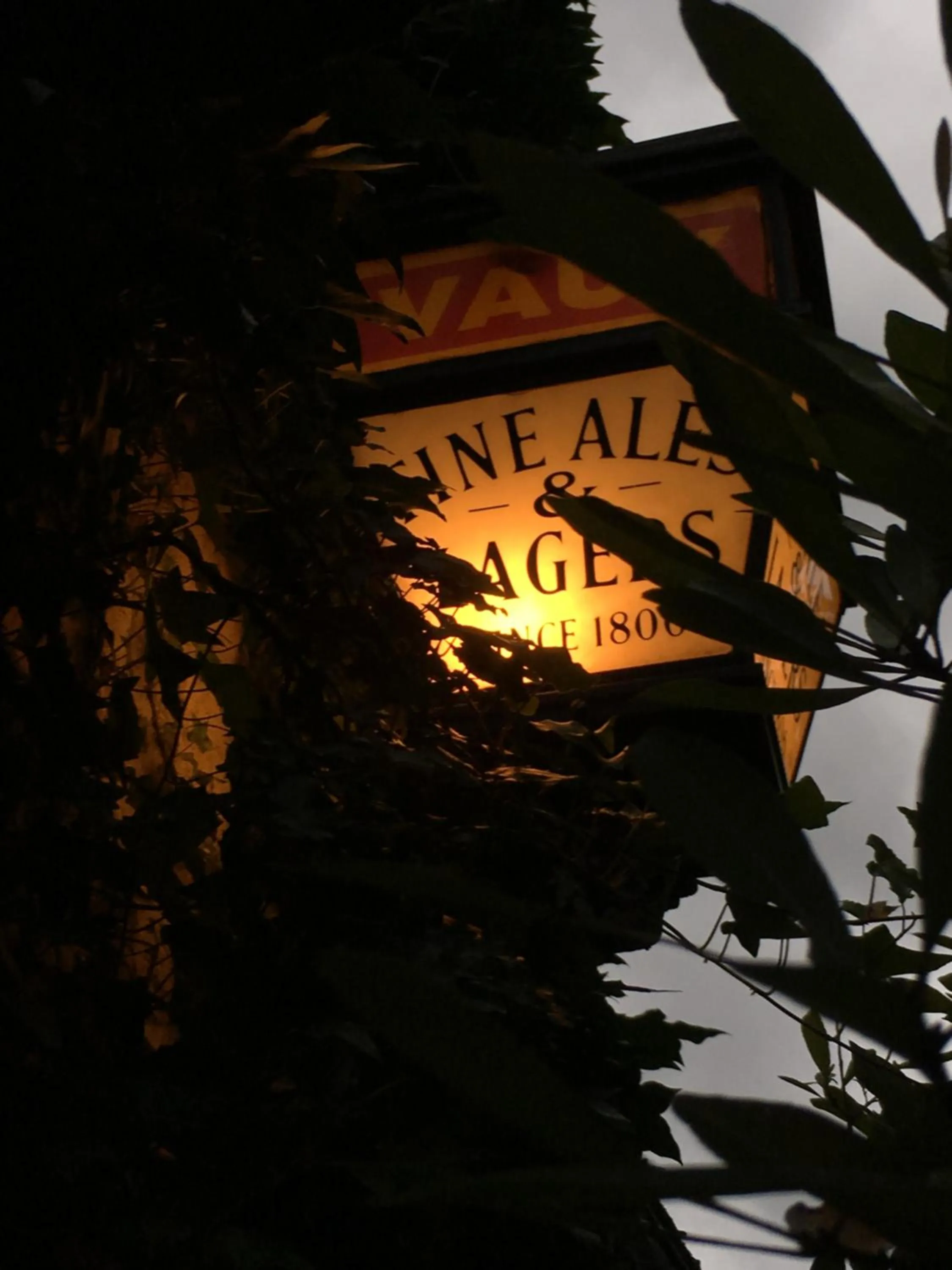 Night in Dreamton Village