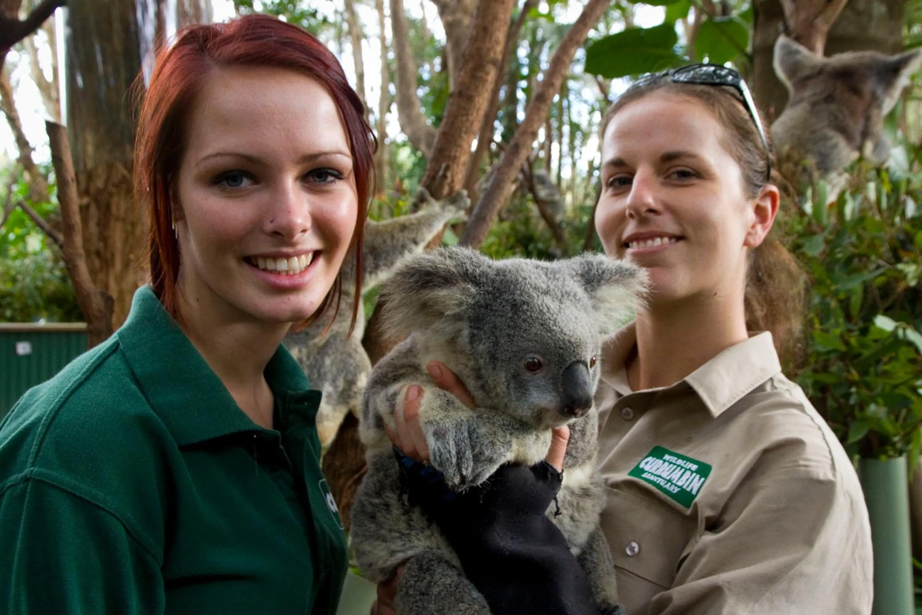 People in Coolangatta Sands Hotel