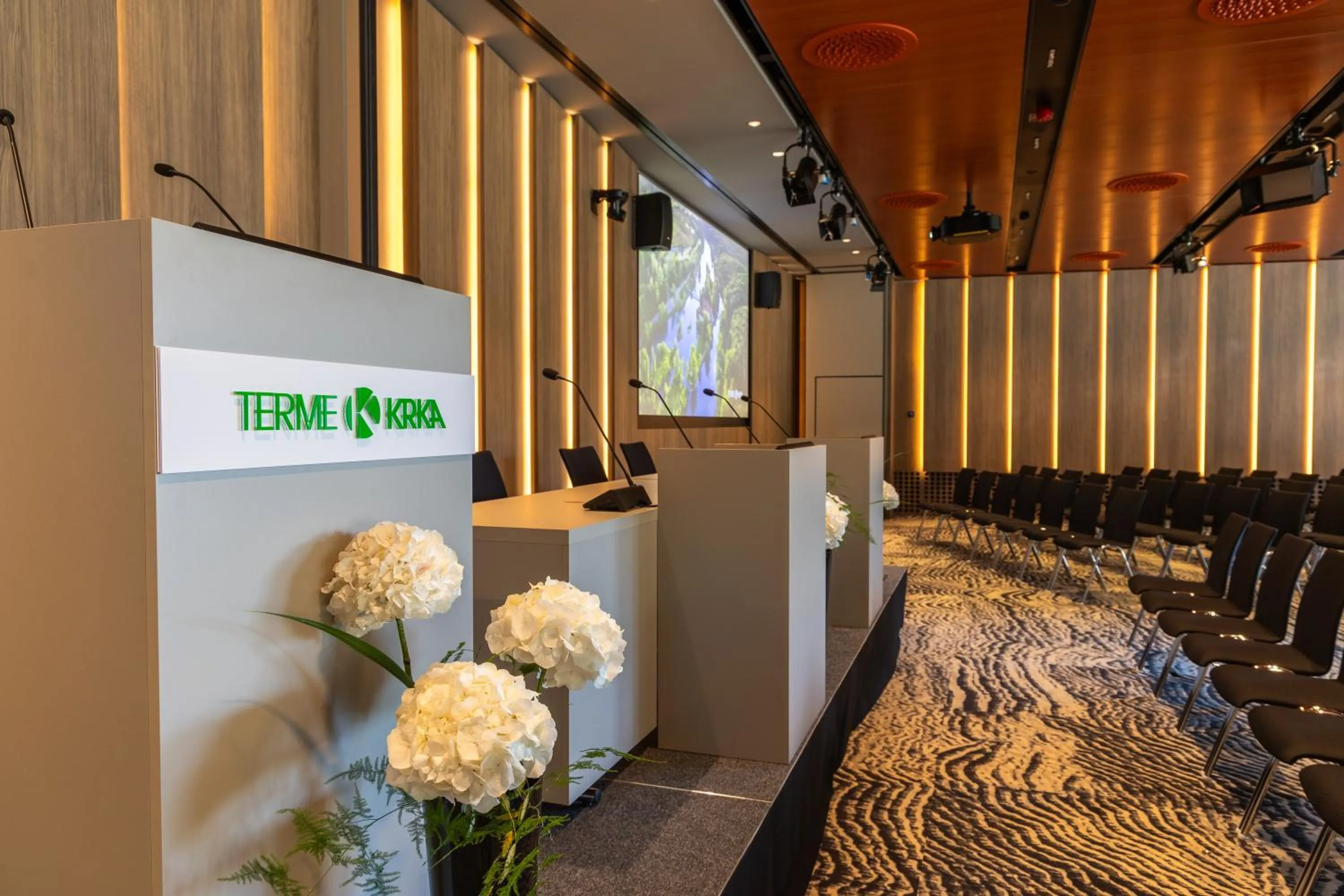 Business facilities in Hotel Sport - Terme Krka