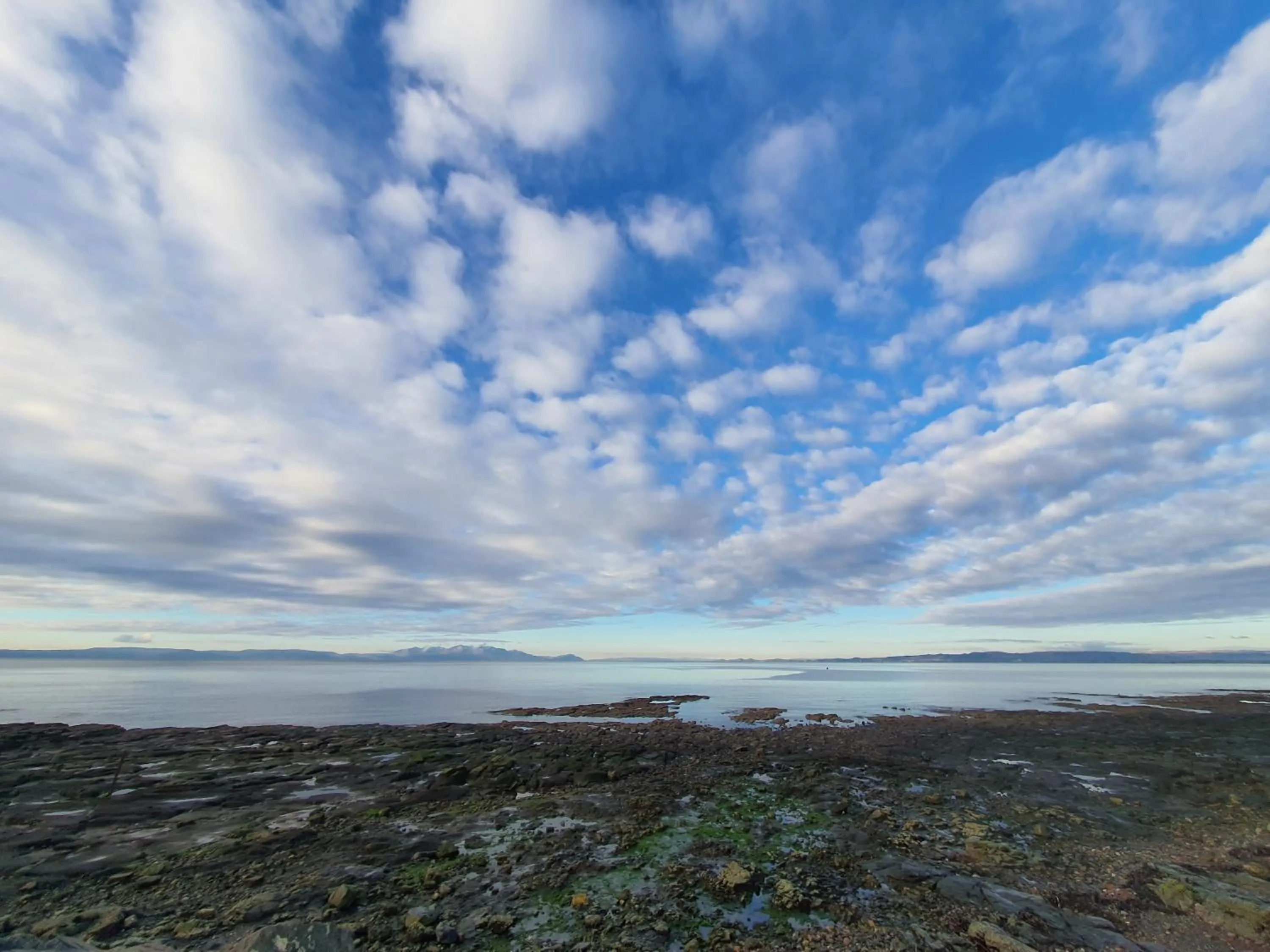 Beach in The Anchorage