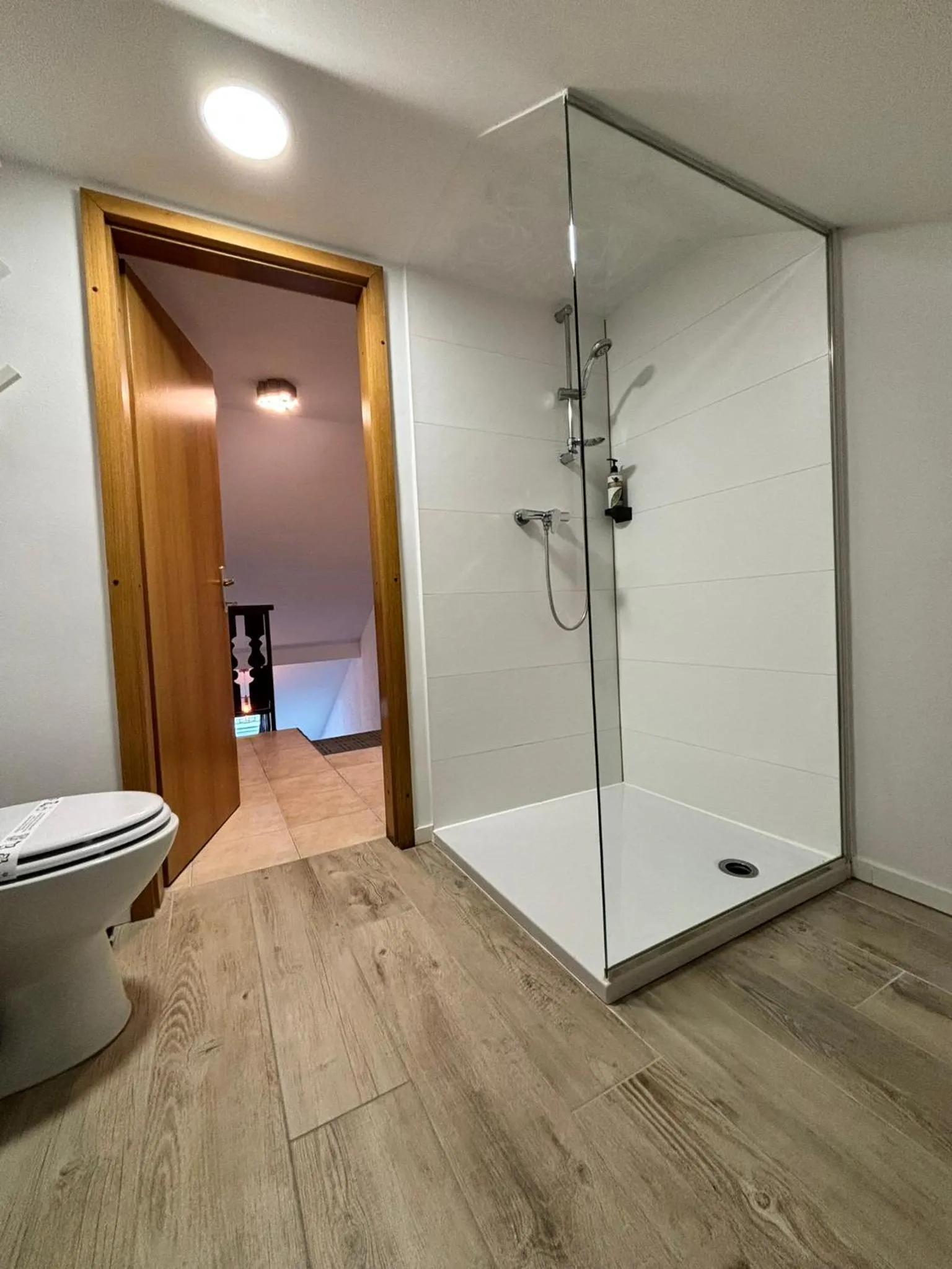 Shower in Hotel Pohorje