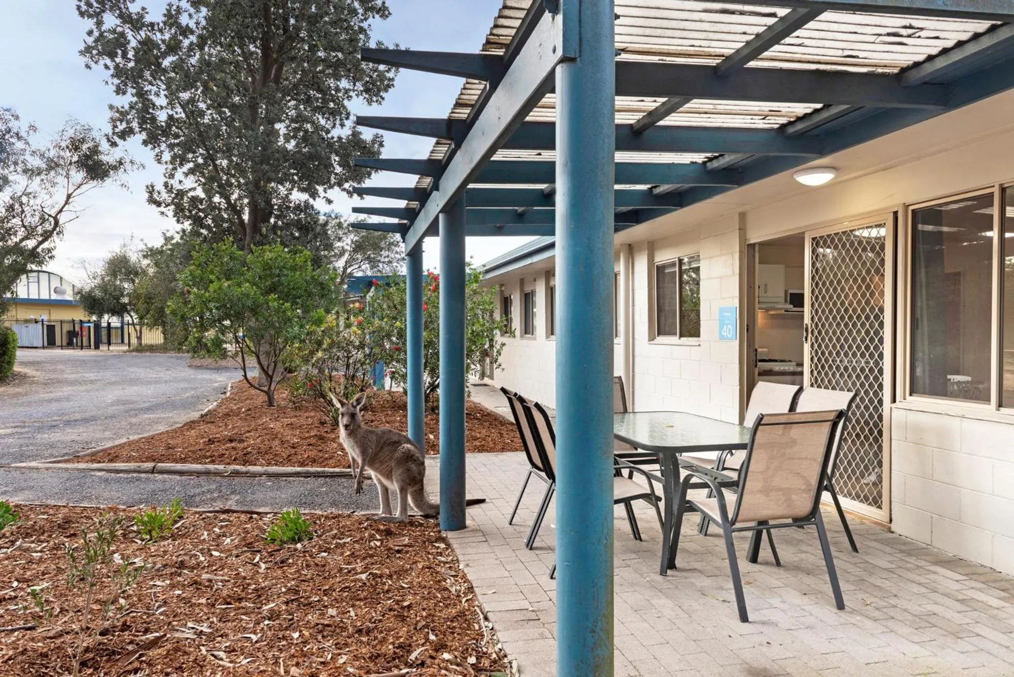 Balcony/Terrace in Discovery Parks - Pambula Beach