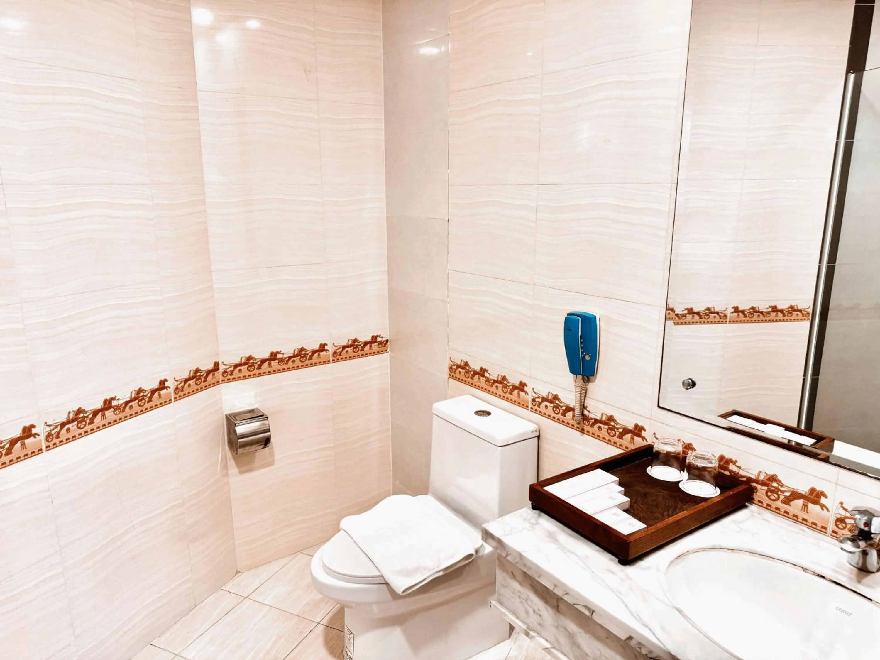 Bathroom in Hotel Sor