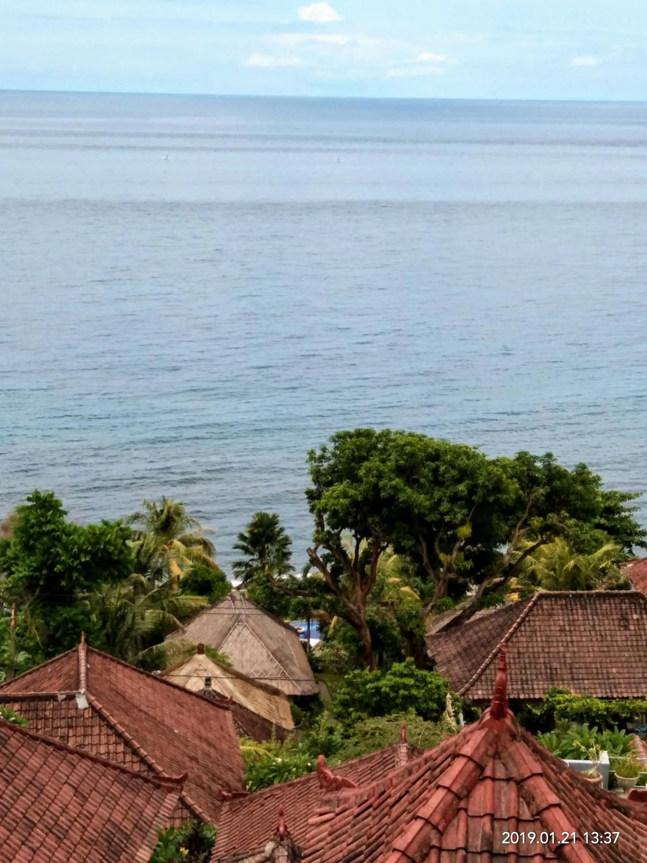 Natural landscape in Bukit Indah Homestay