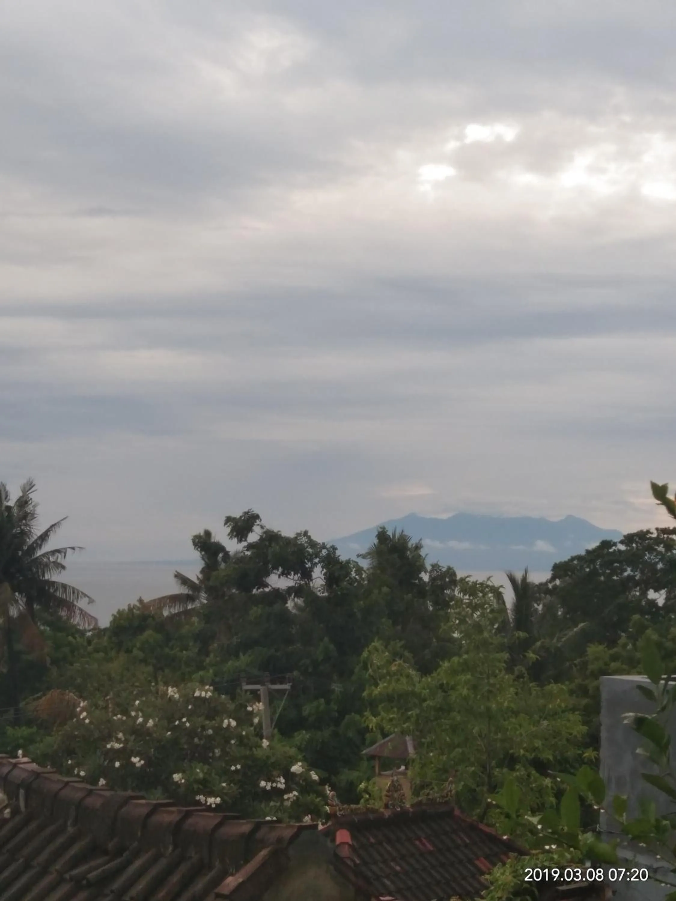 Natural landscape in Bukit Indah Homestay