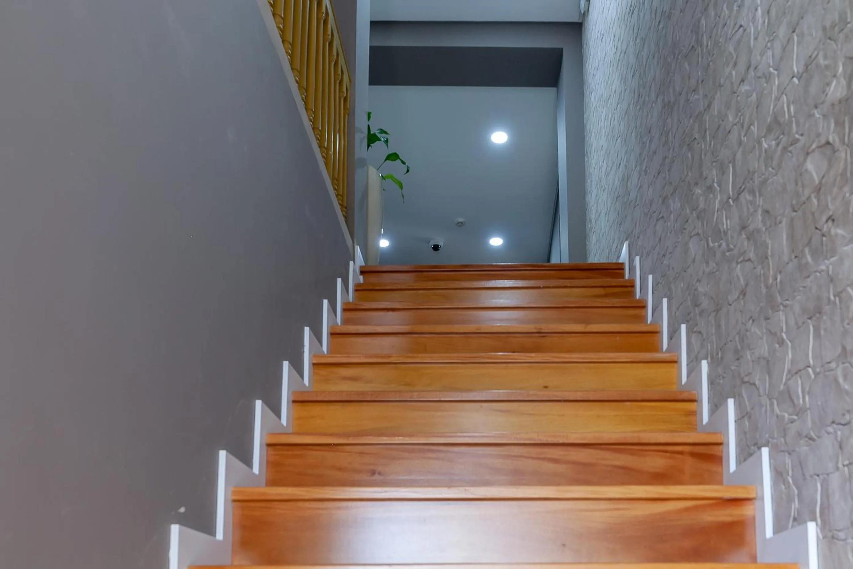 Lobby or reception in Zarco B&B Bed & Breakfast