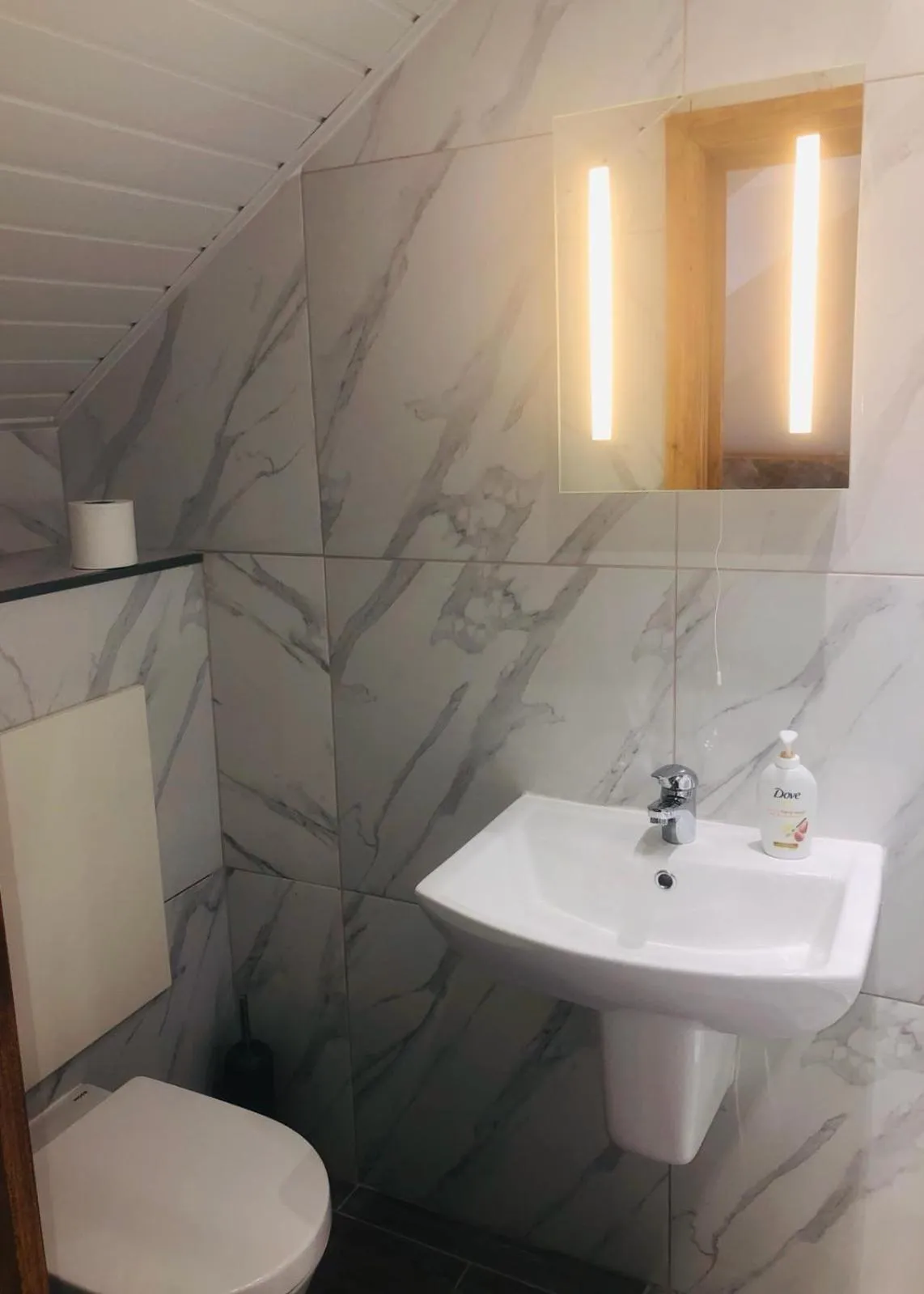 Toilet in The Six Bells Hotel