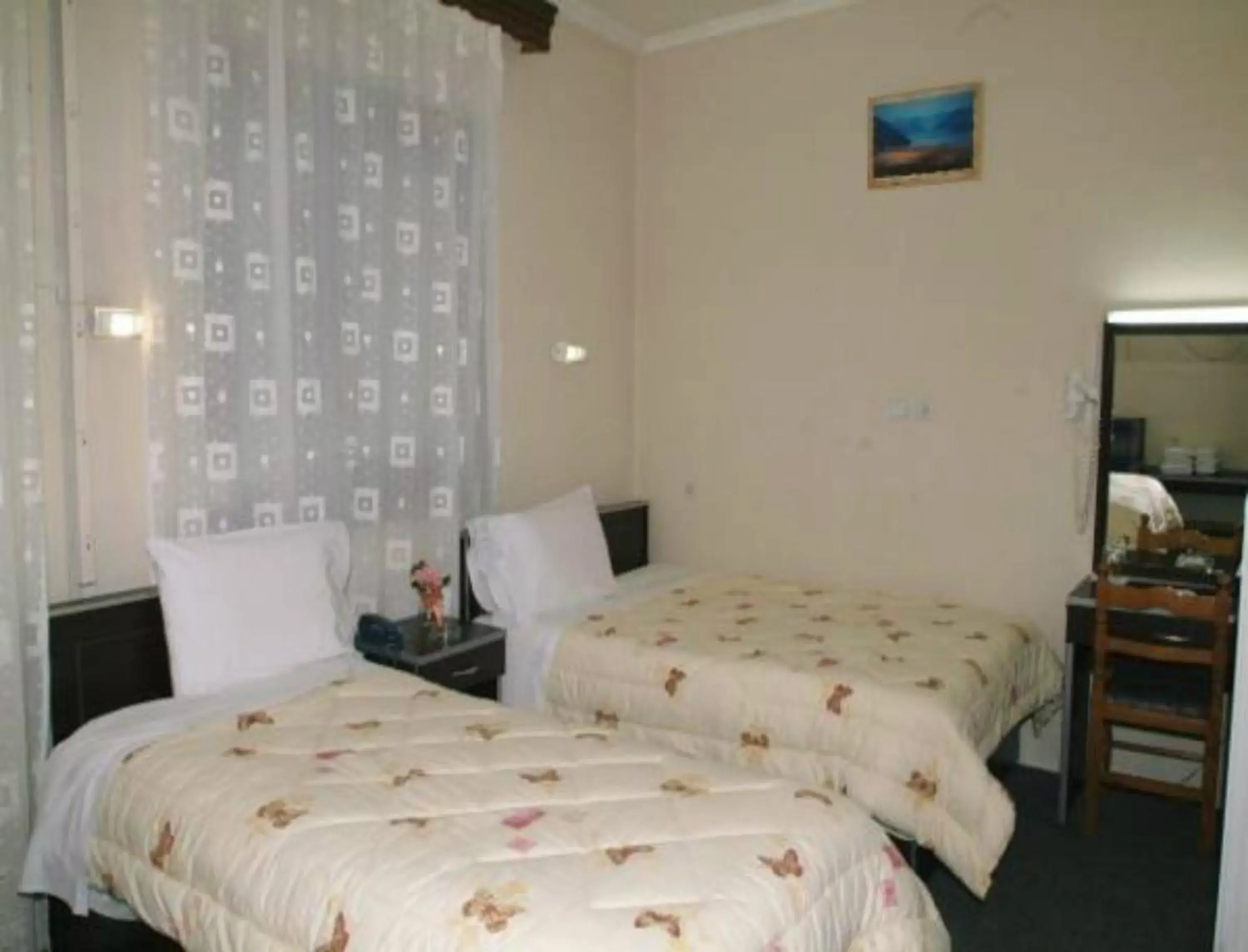 Double or Twin Room in Hotel Hellinis Double or Twin Room in Hotel Hellinis