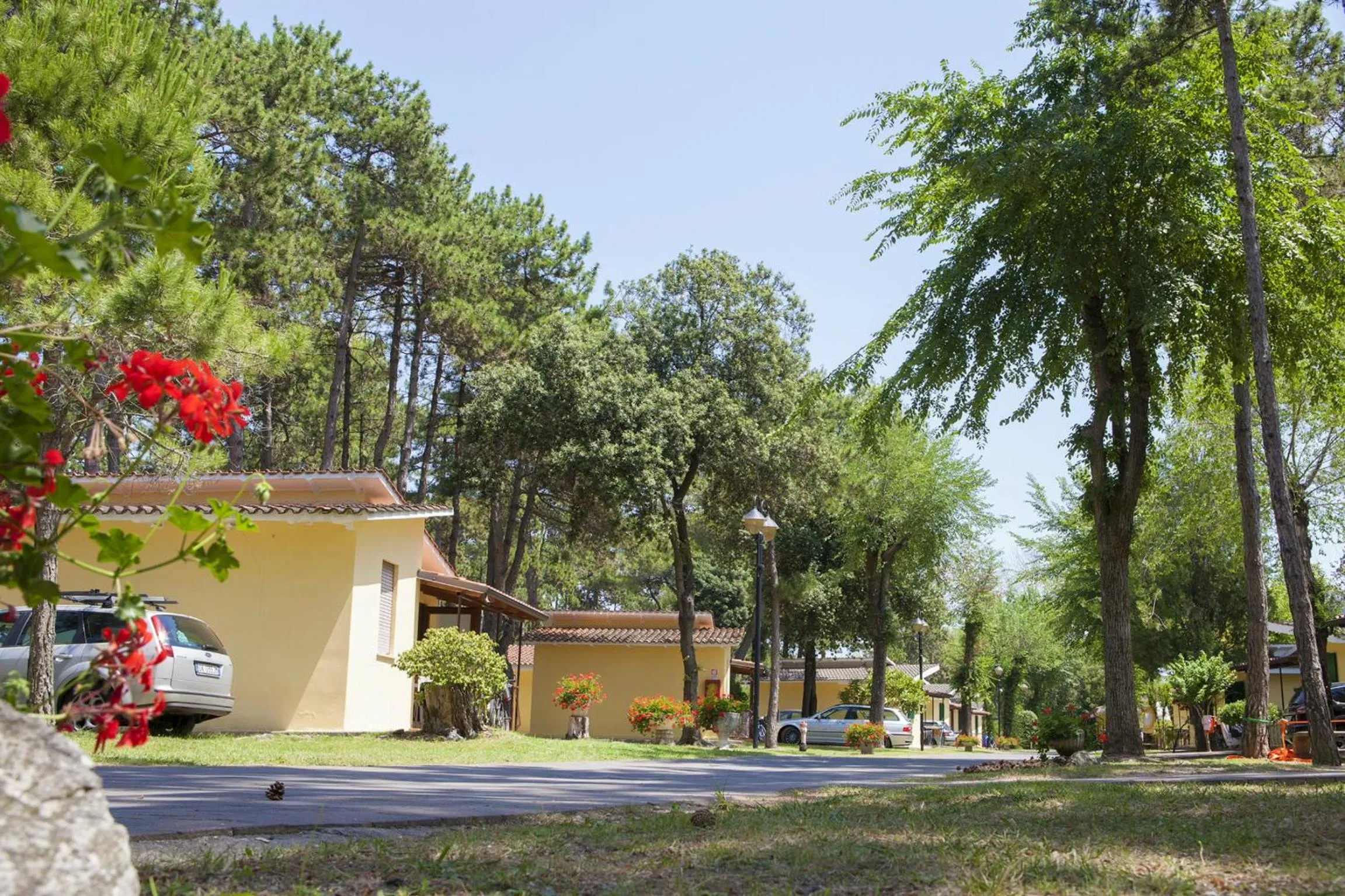 Facade/entrance in Villaggio Turistico Internazionale