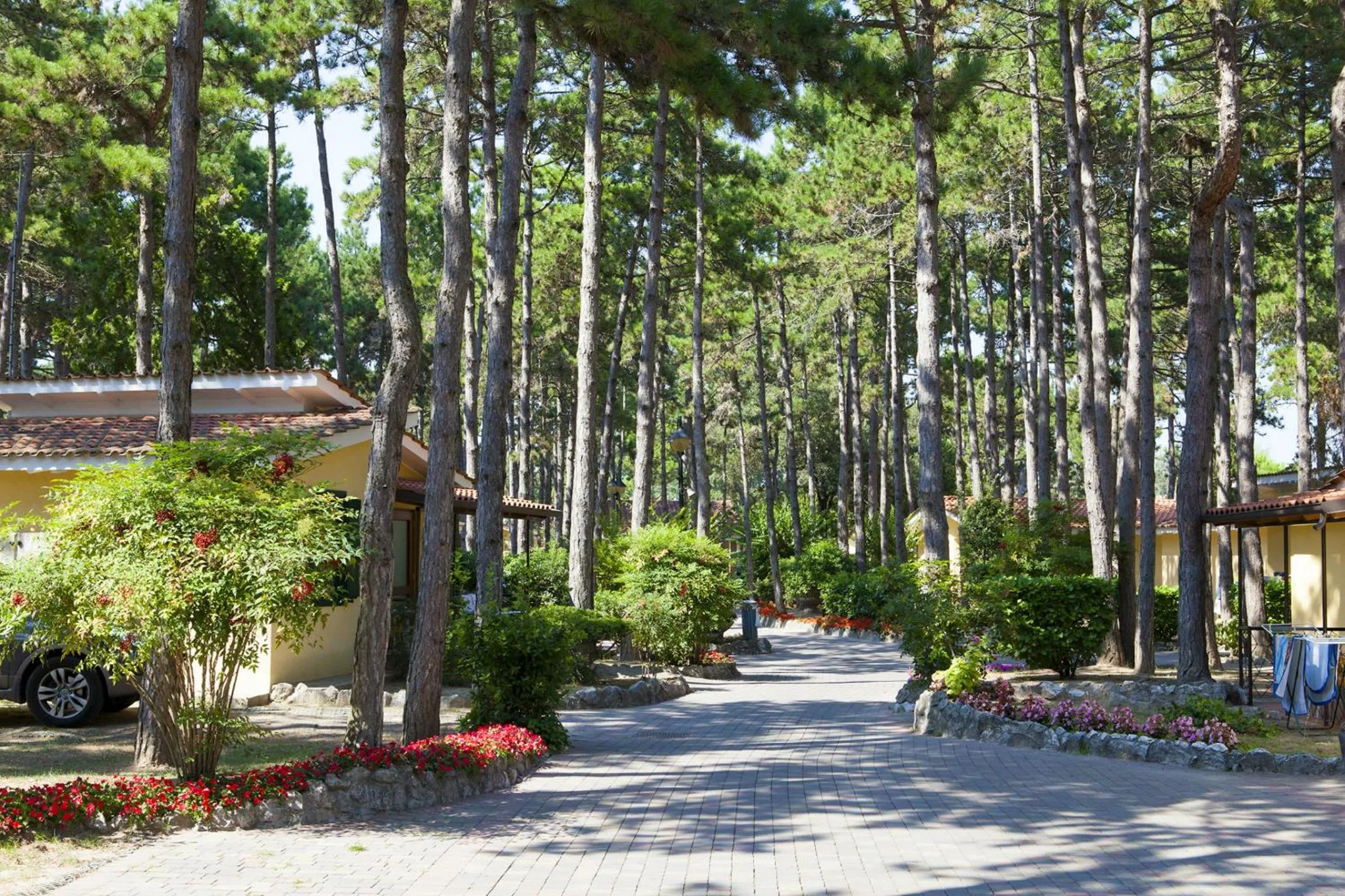Facade/entrance in Villaggio Turistico Internazionale