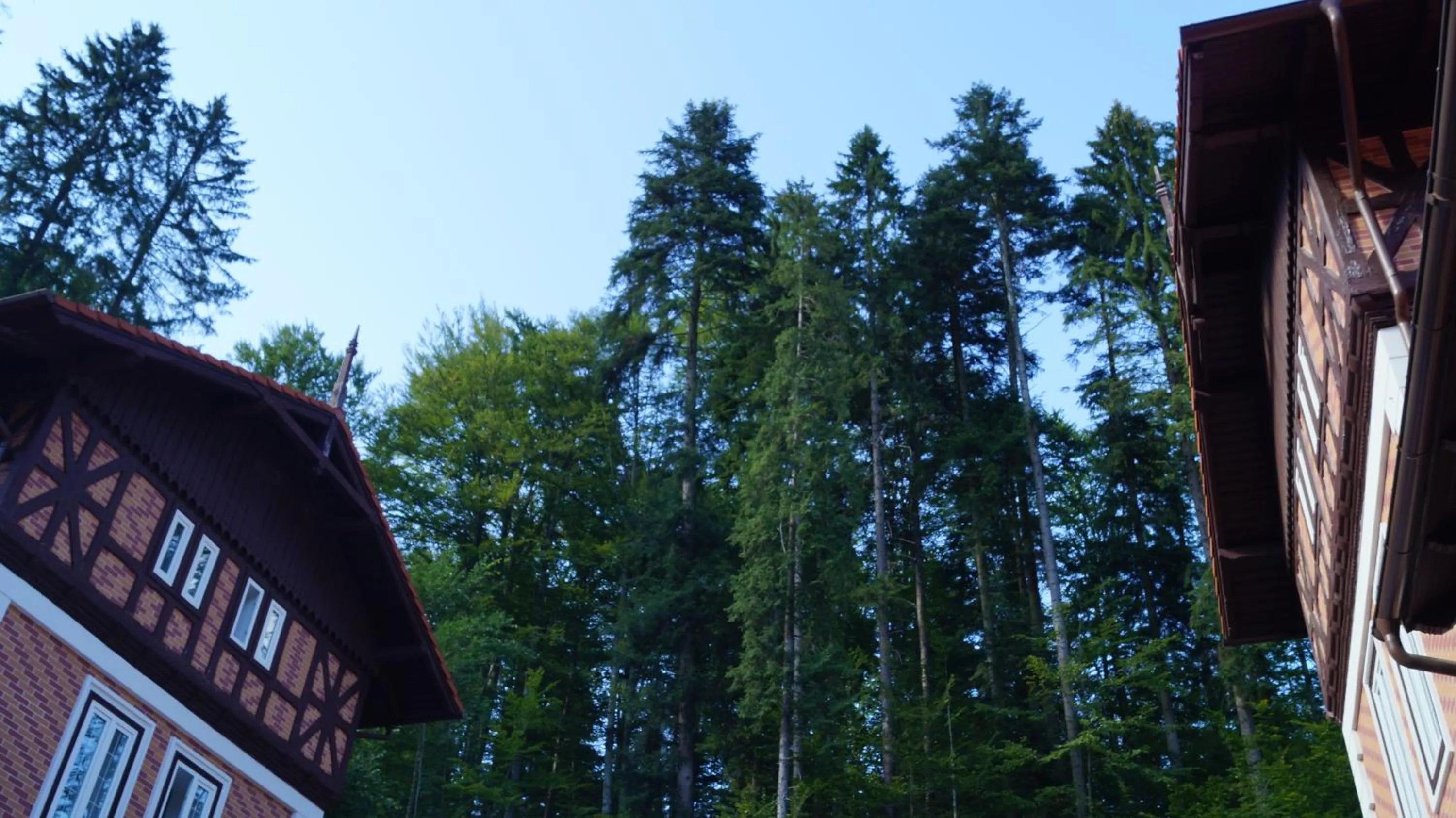 Area and facilities in Hotel Bastion