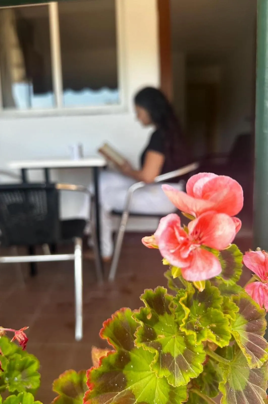 Camping Playa y Fiesta