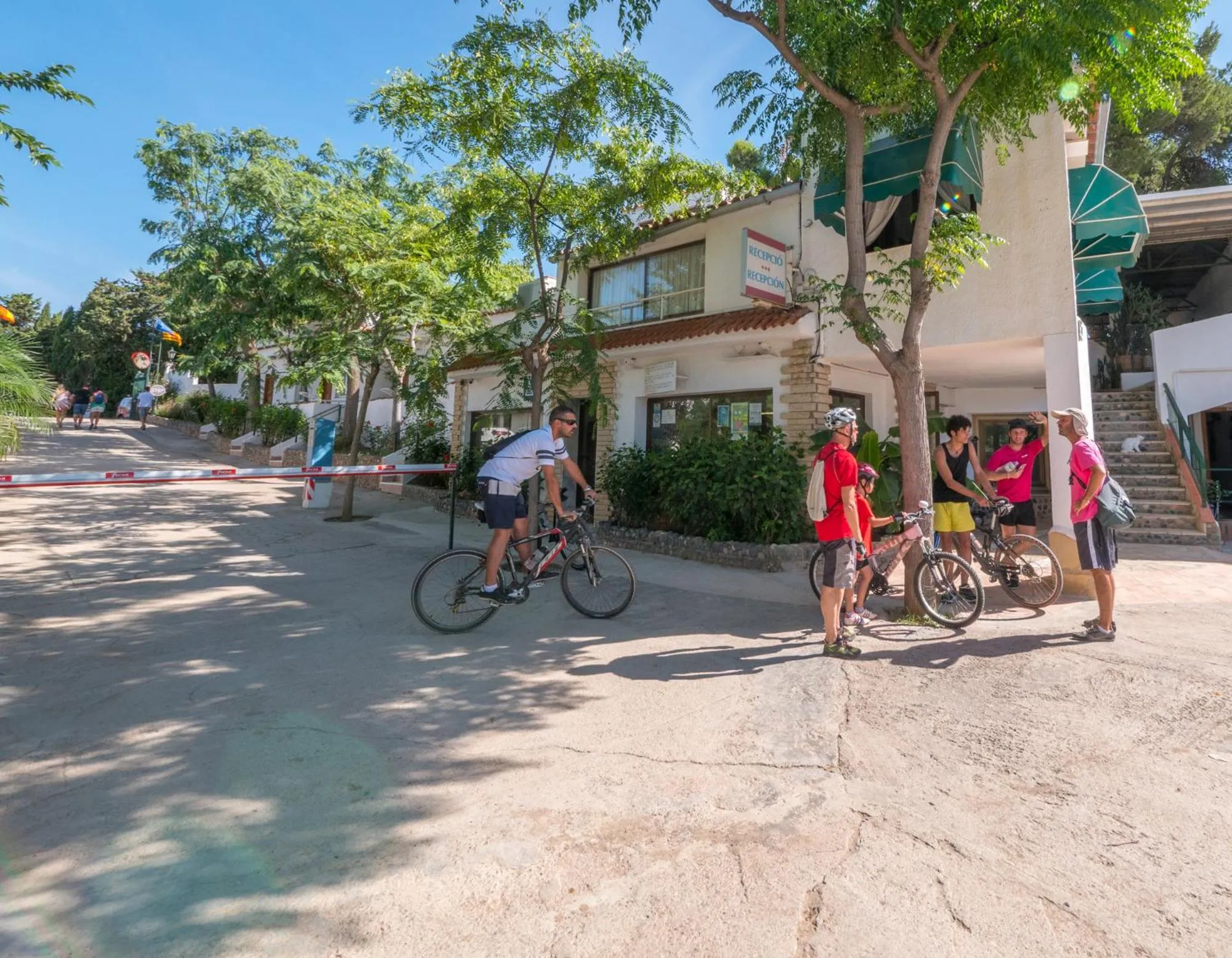 Lobby or reception in Camping Playa y Fiesta