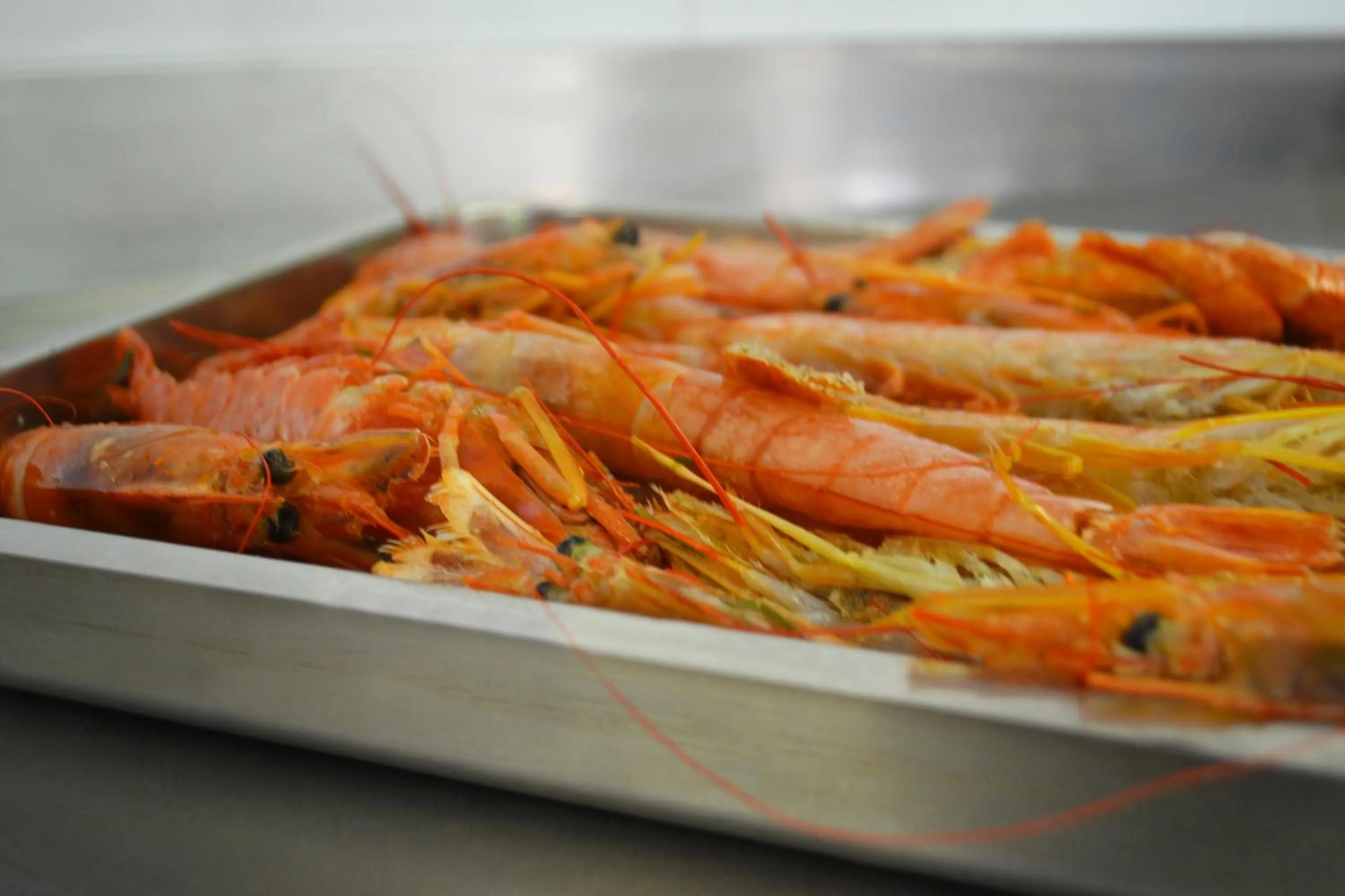 Food in Hotel Bahamas