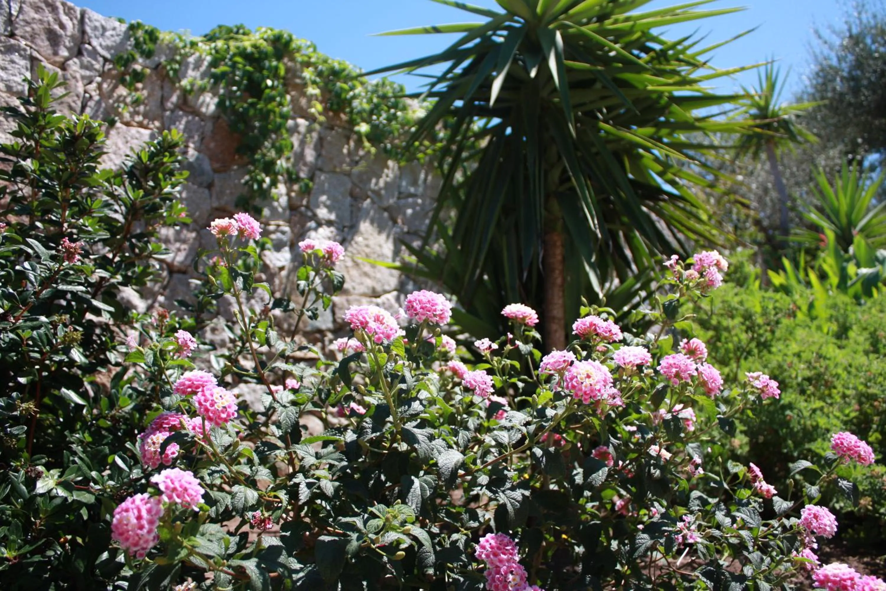 Spring in Hôtel et Résidence Benista