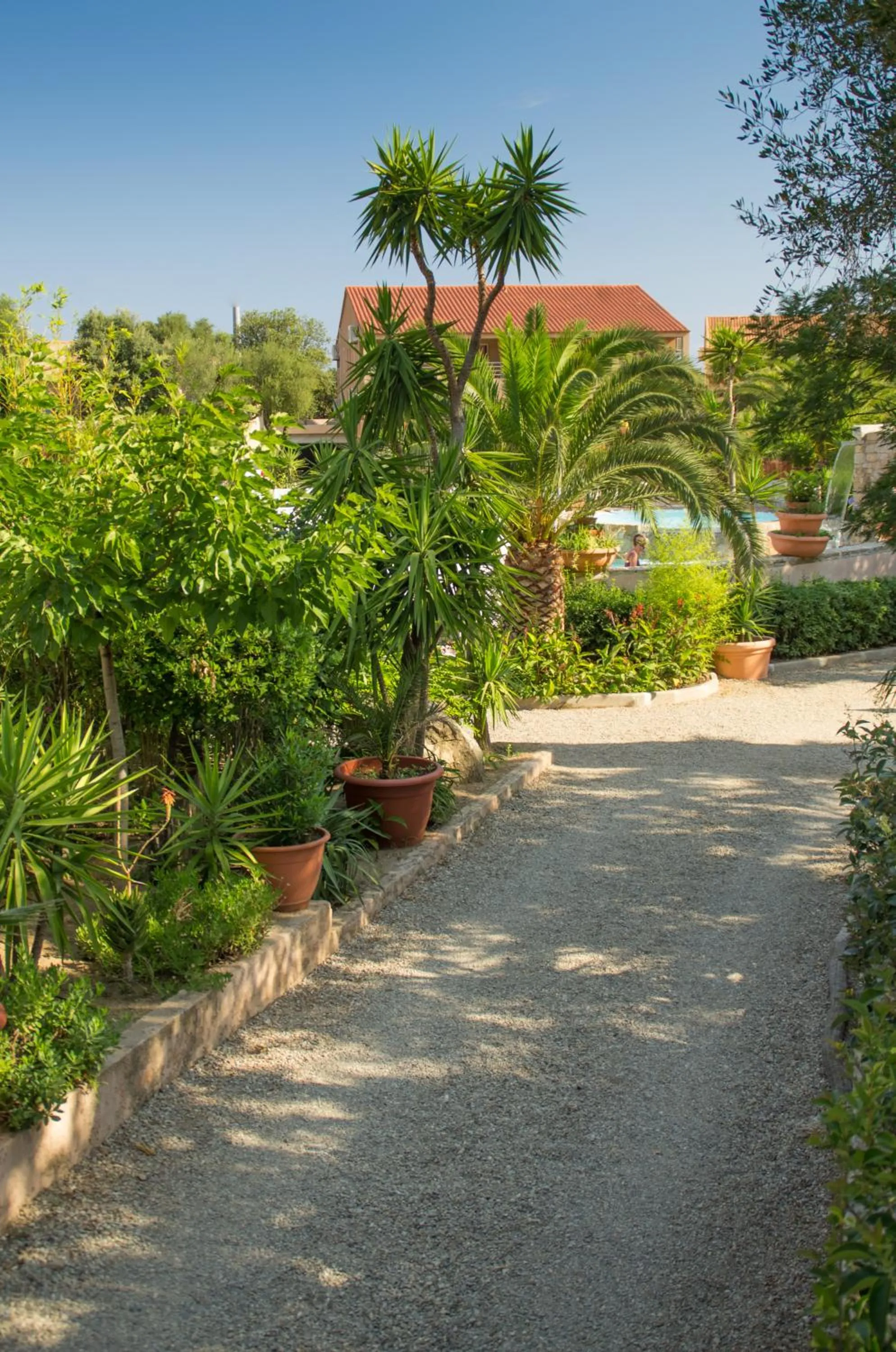 Garden in Hôtel et Résidence Benista