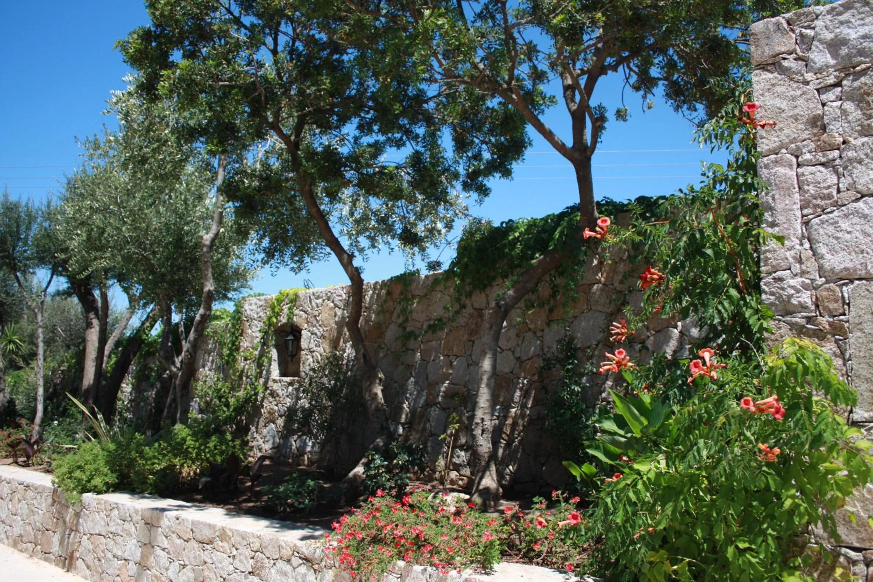 Day in Hôtel et Résidence Benista