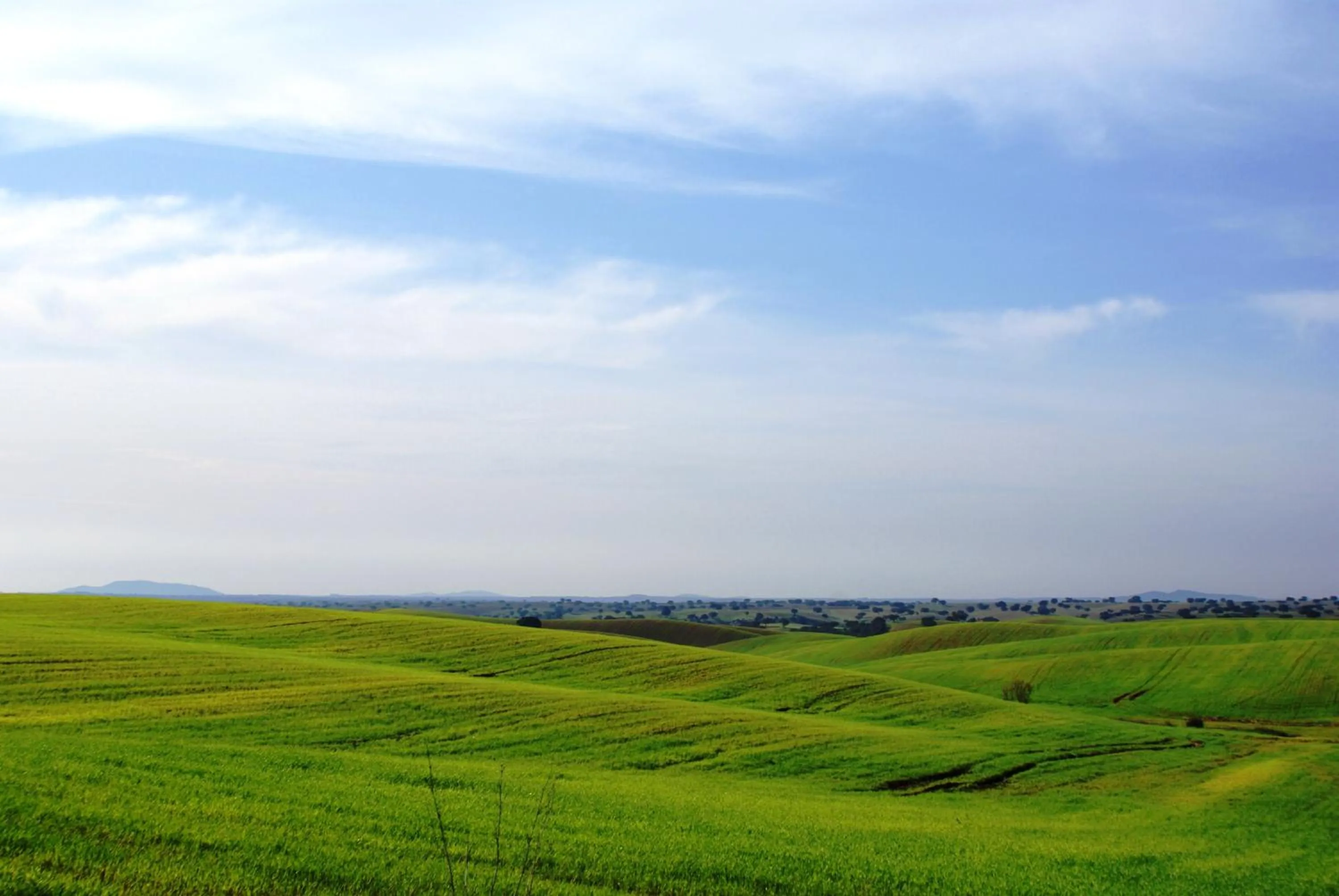 View (from property/room) in Monte da Corte Ligeira