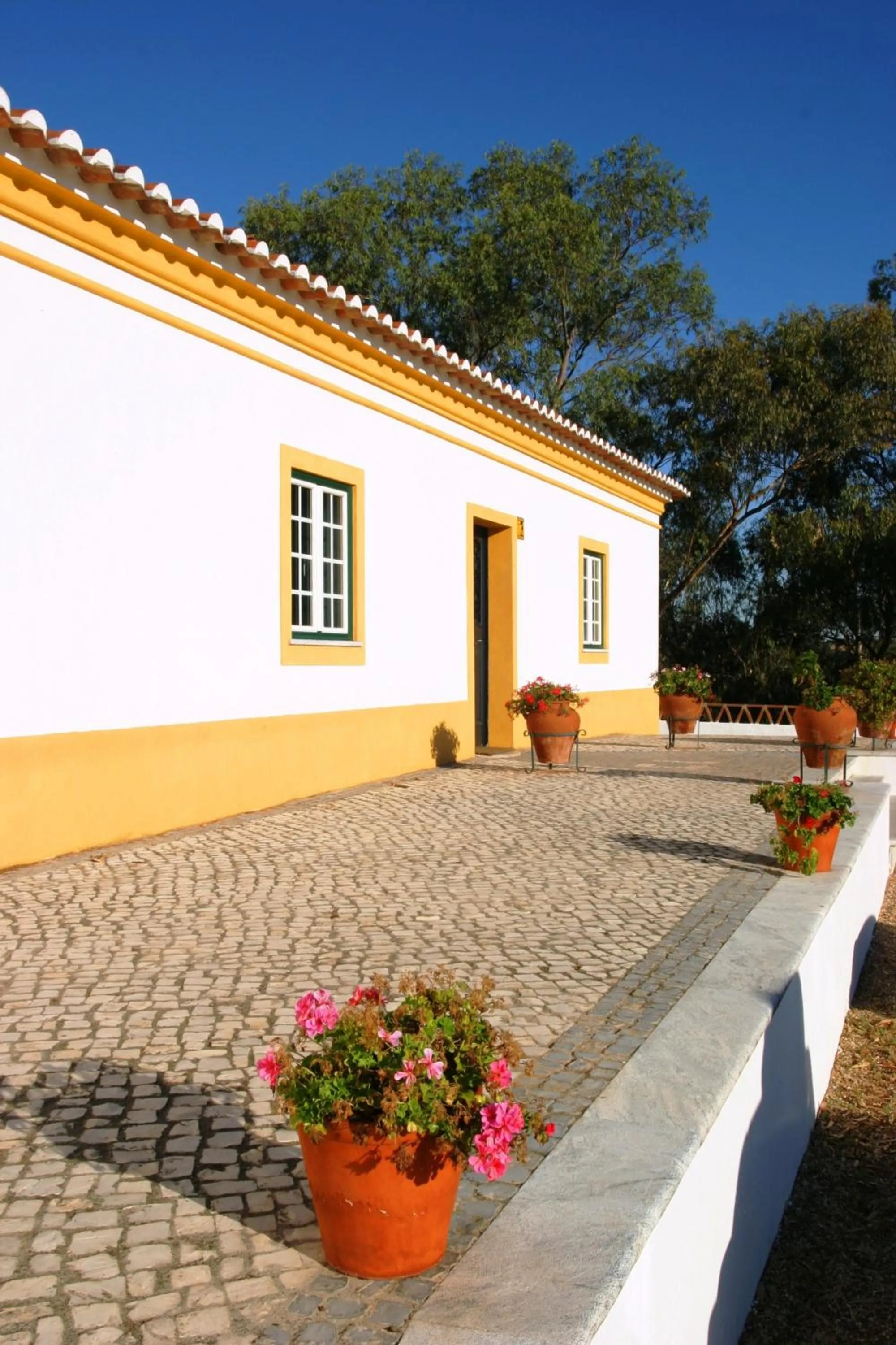 Facade/entrance in Monte da Corte Ligeira