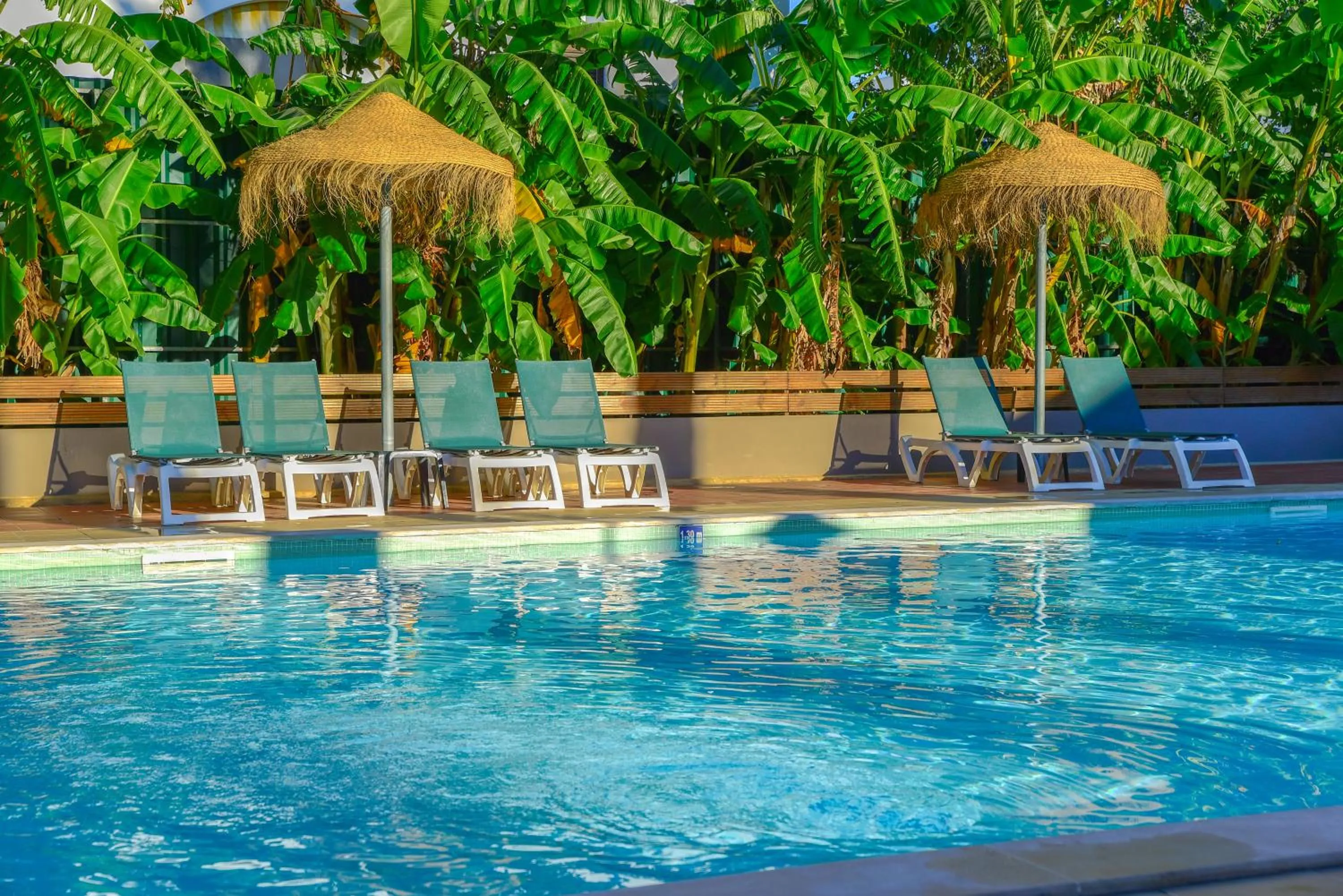 Swimming pool in Bayside Salgados