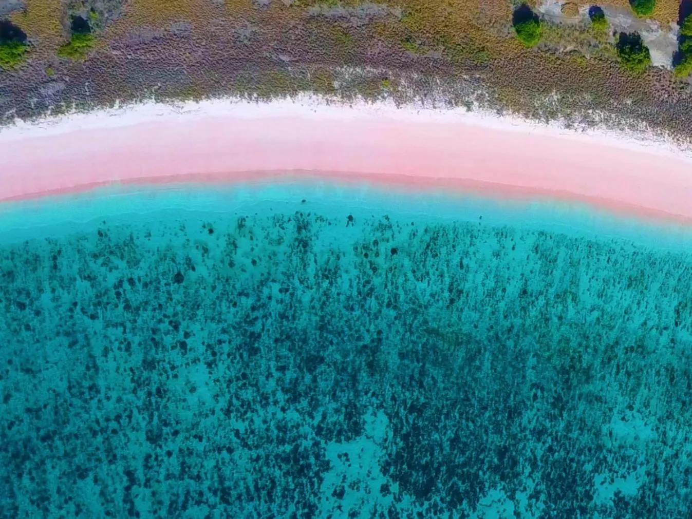 Nearby landmark in Komodo Resort