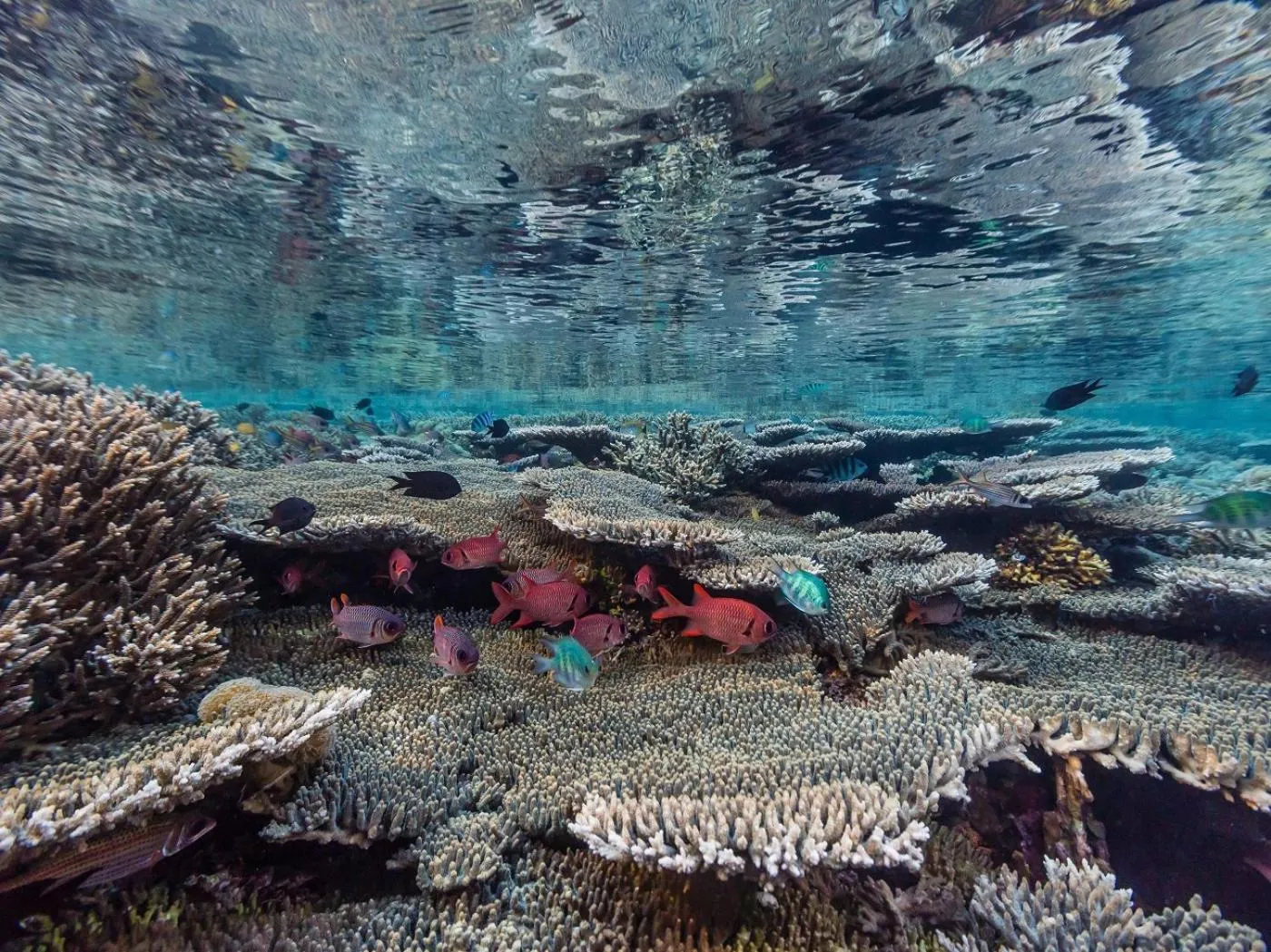 Natural landscape in Komodo Resort