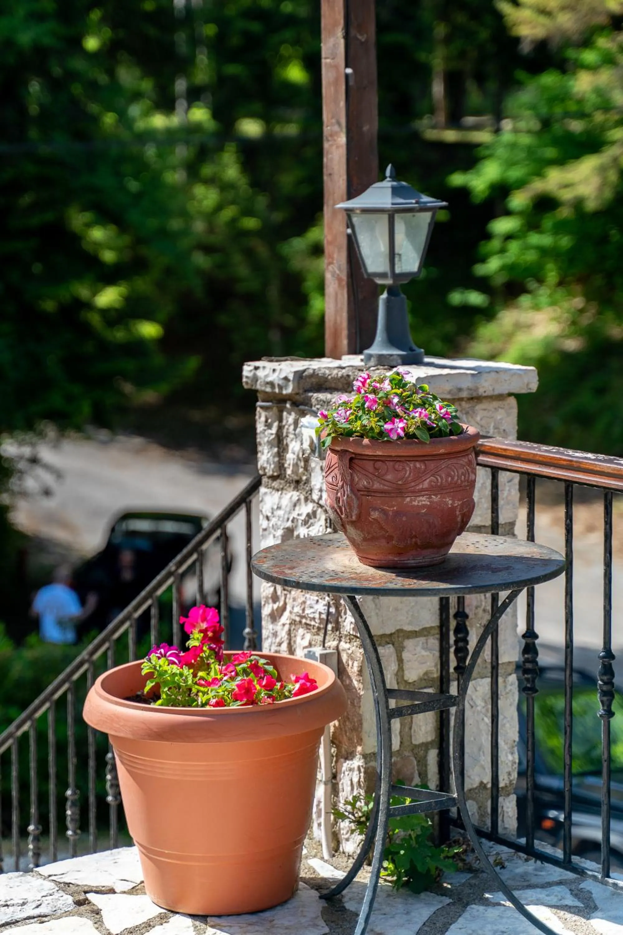 Garden view in Hotel Giamandes