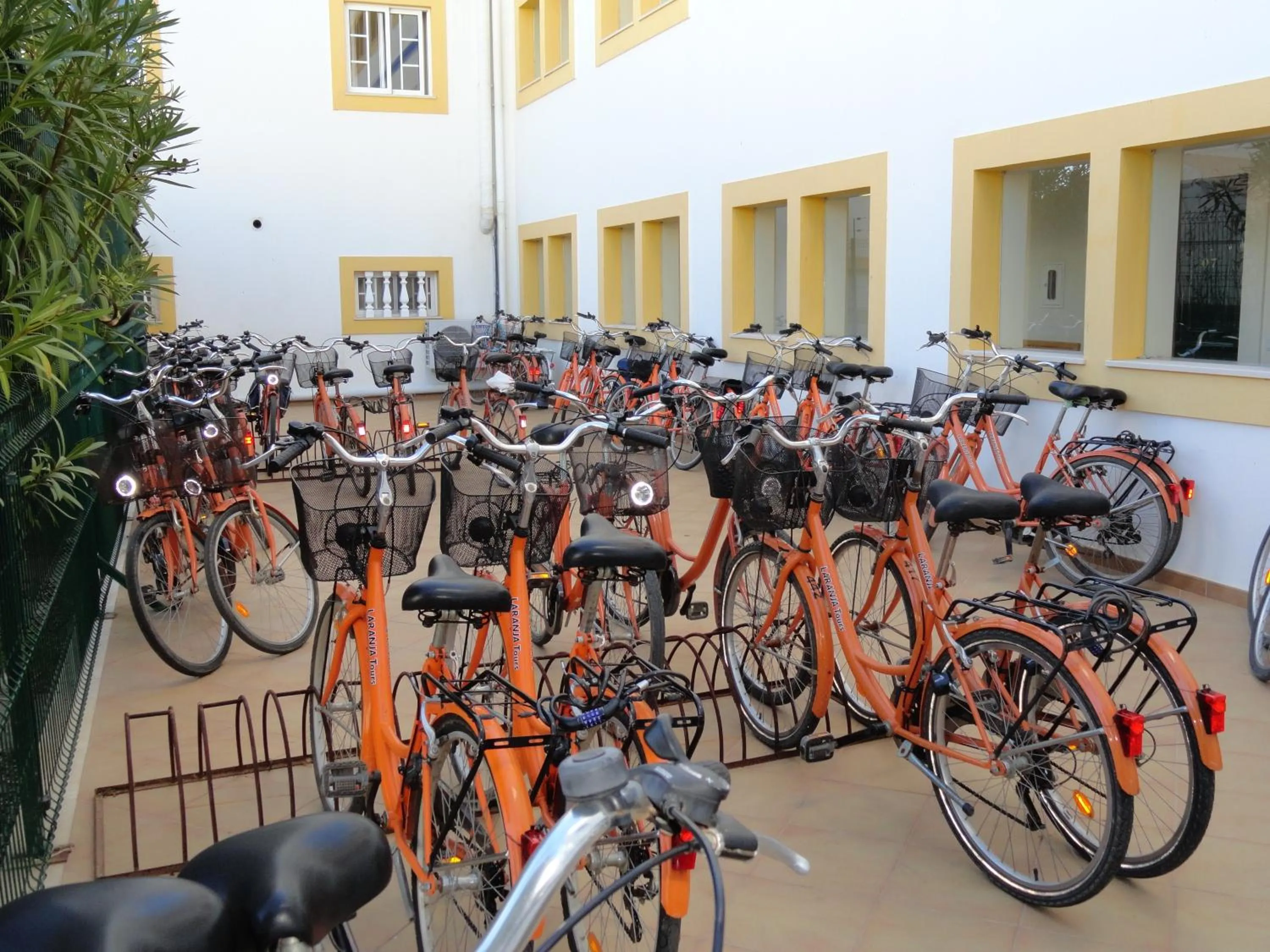 Cycling in Alagoa Azul