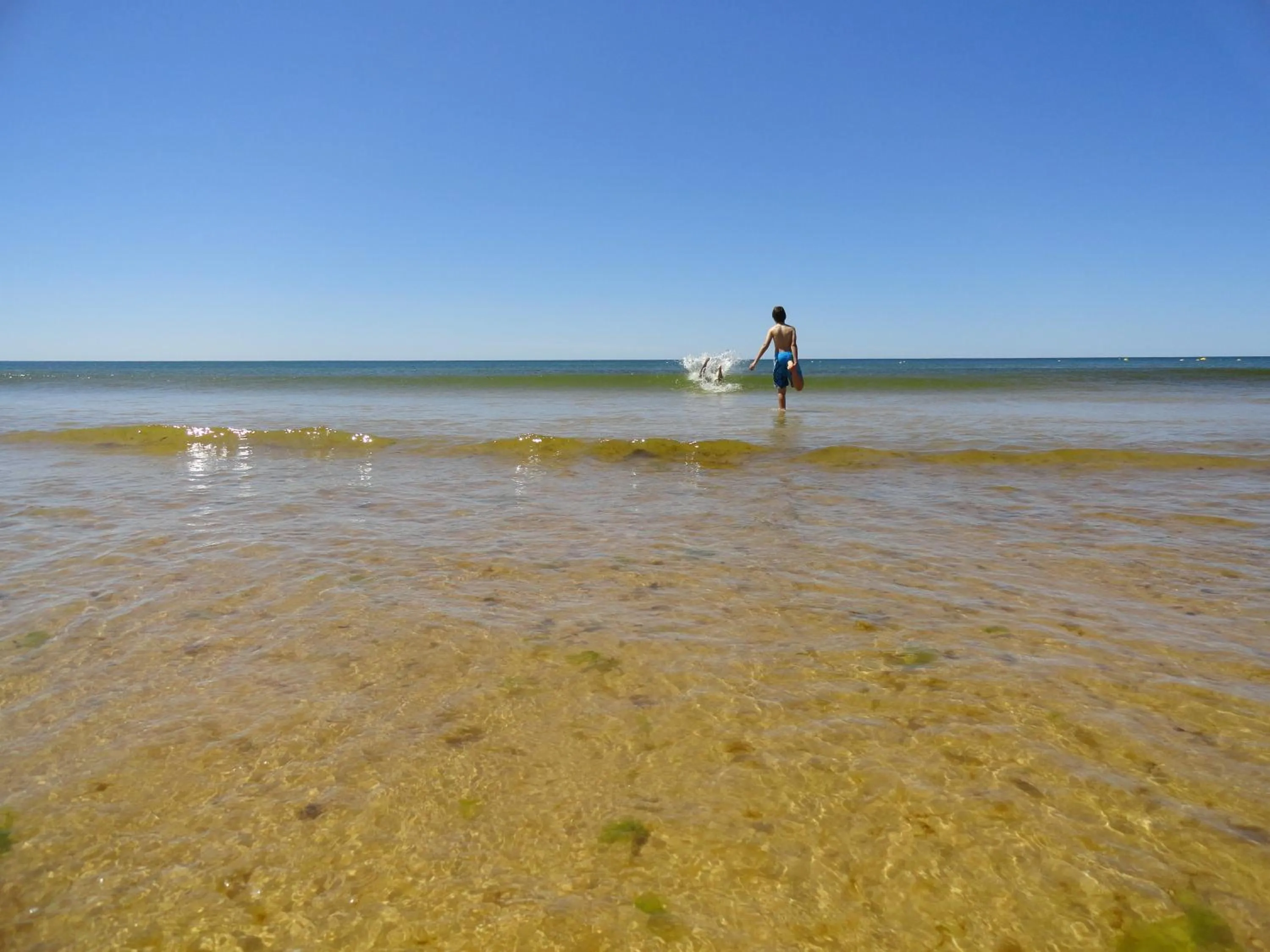 Beach in Alagoa Azul