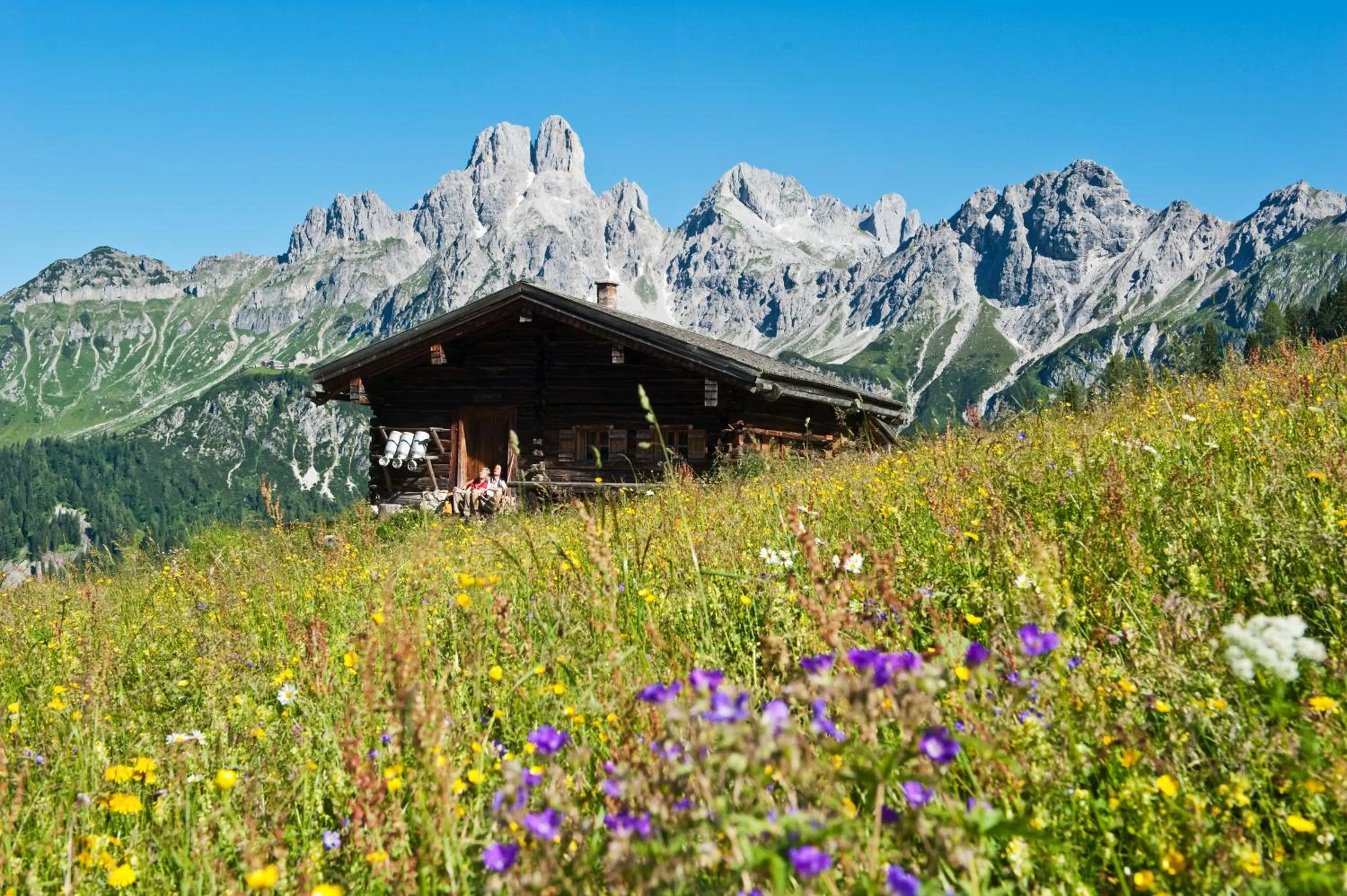 Natural landscape in meiZeit Lodge